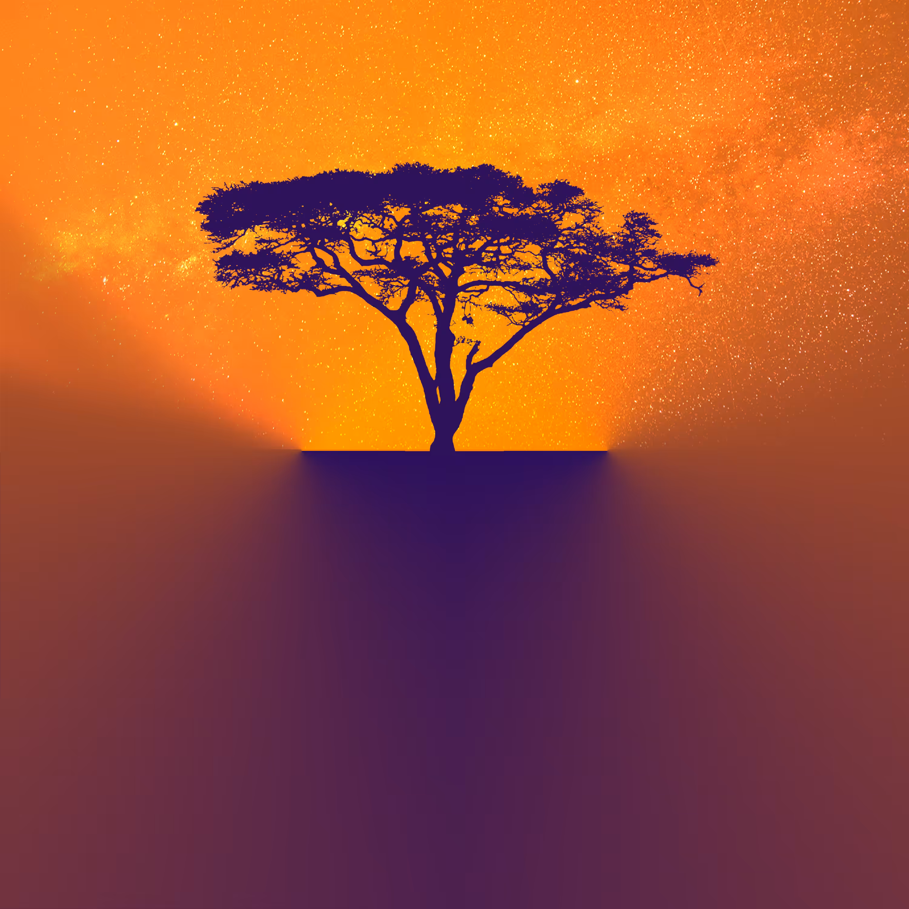 Universe Chromatic Principle: The Same Place