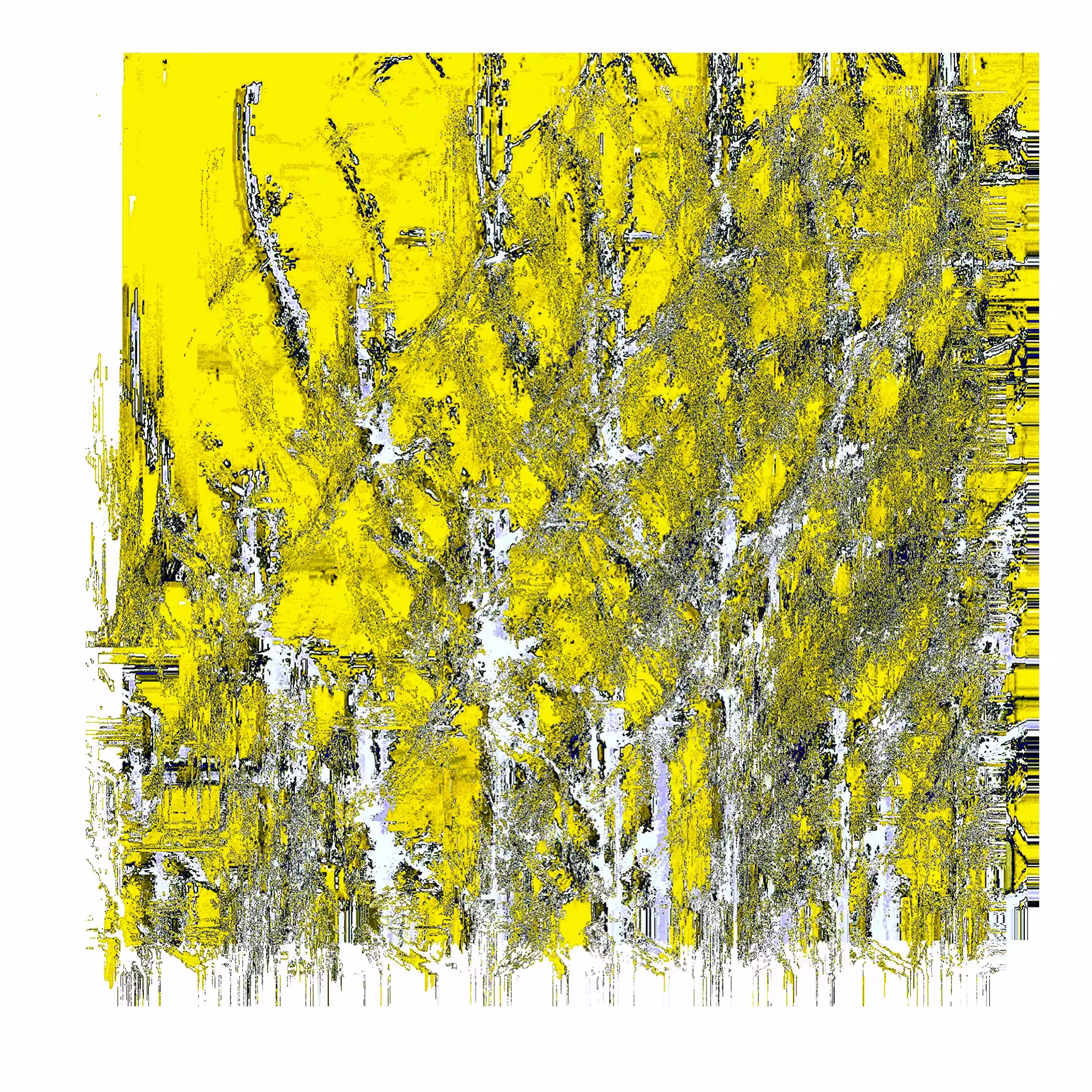 Y007