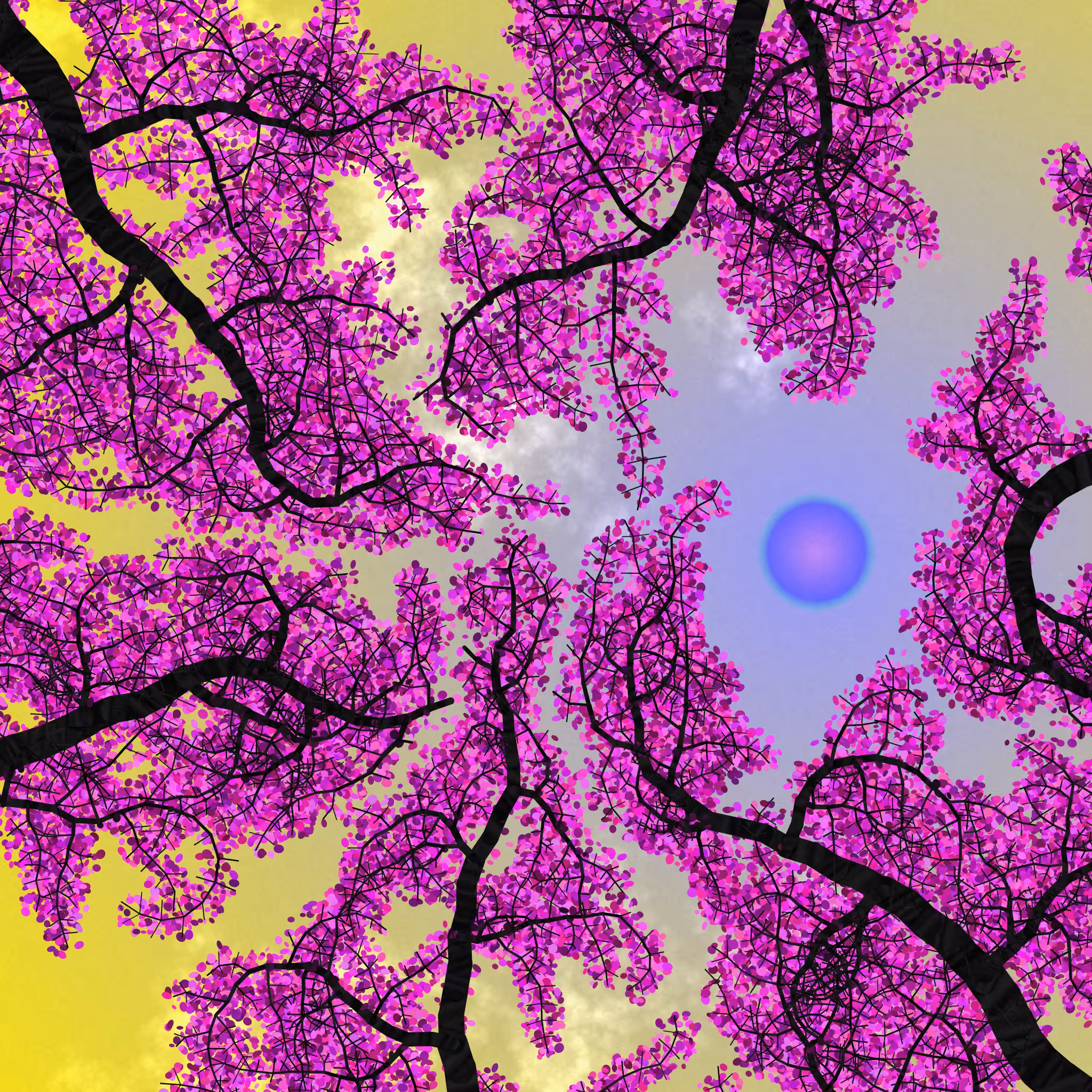 Tree Skyness #222