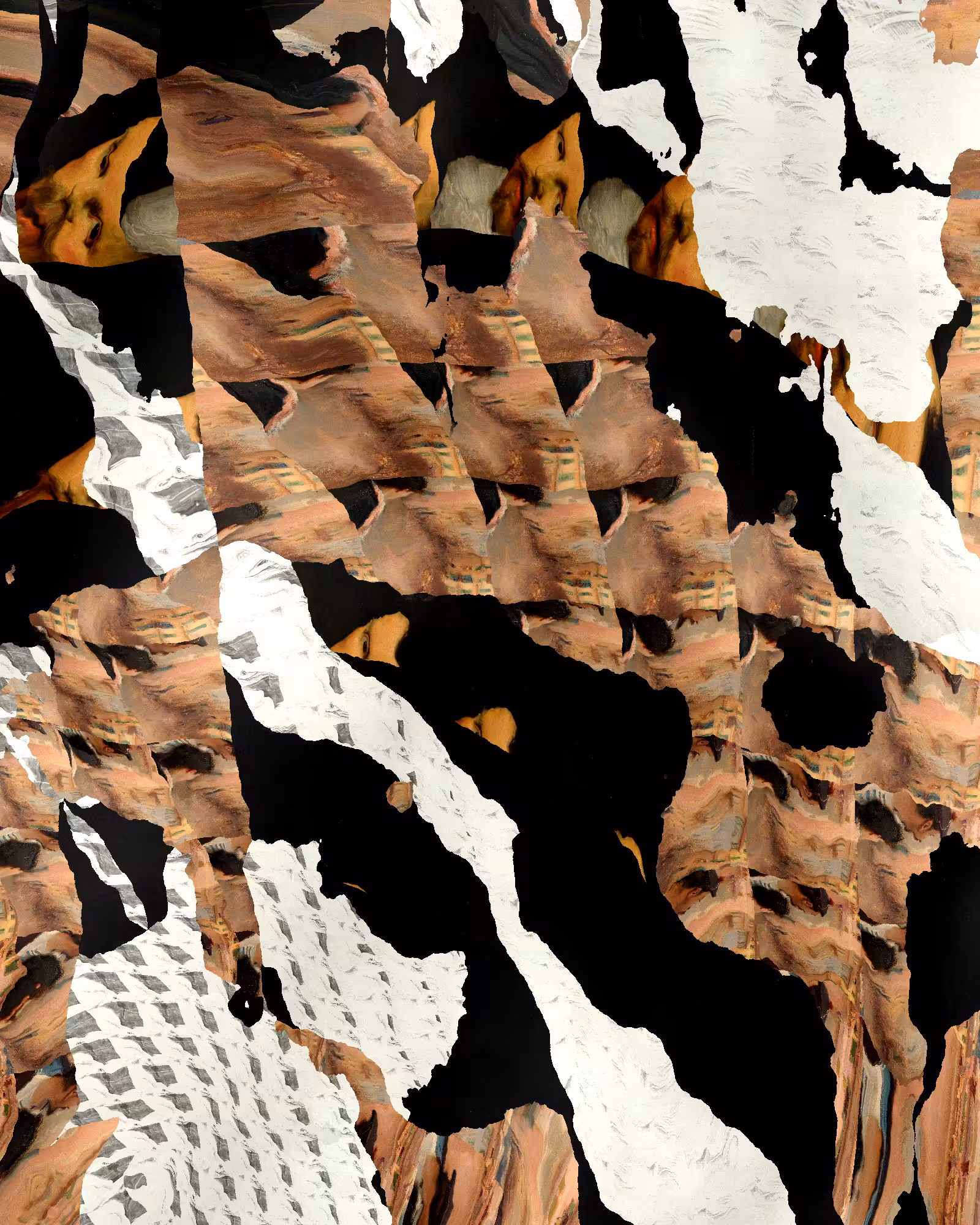 Repetition and Noise #1137