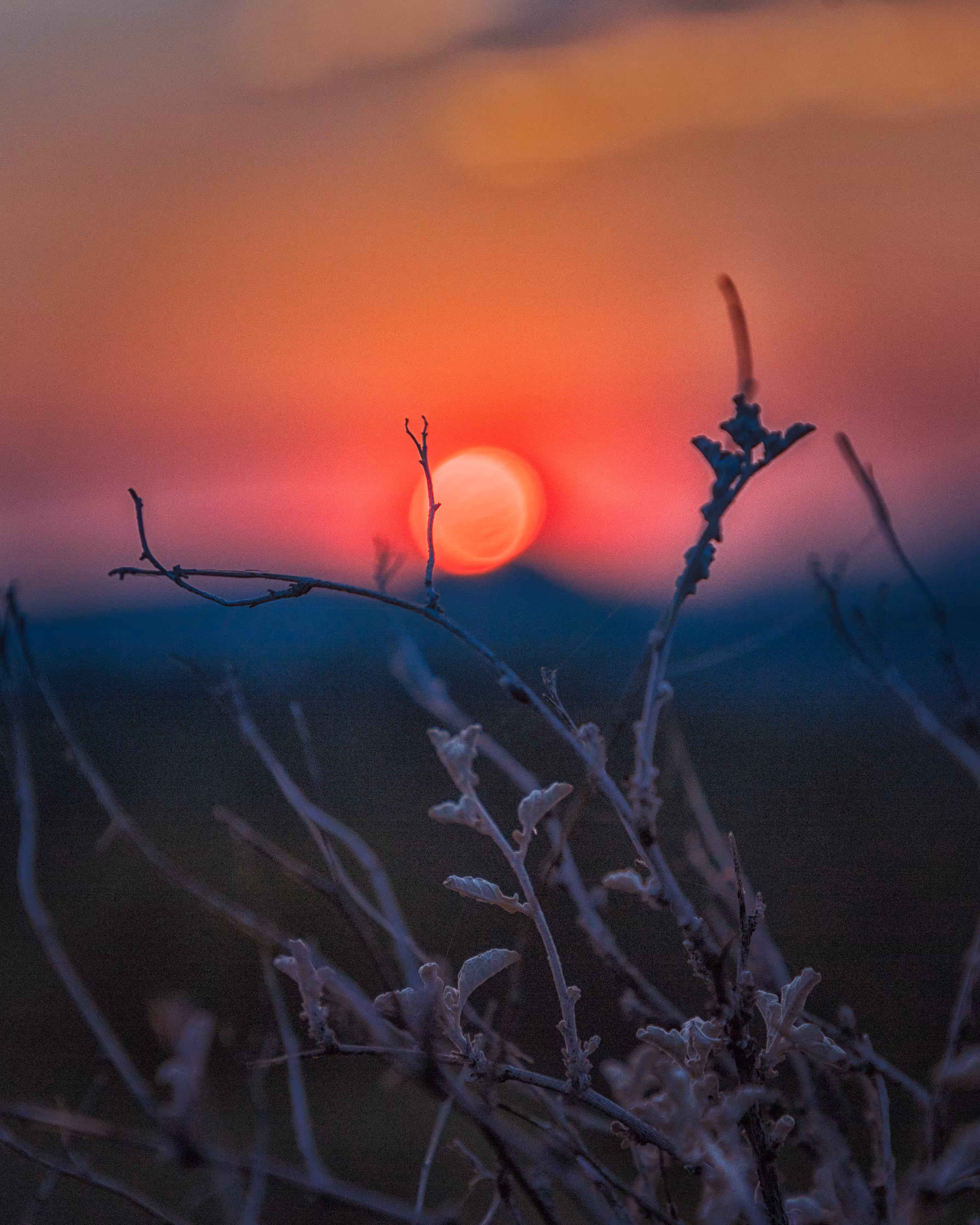 Soft Touch