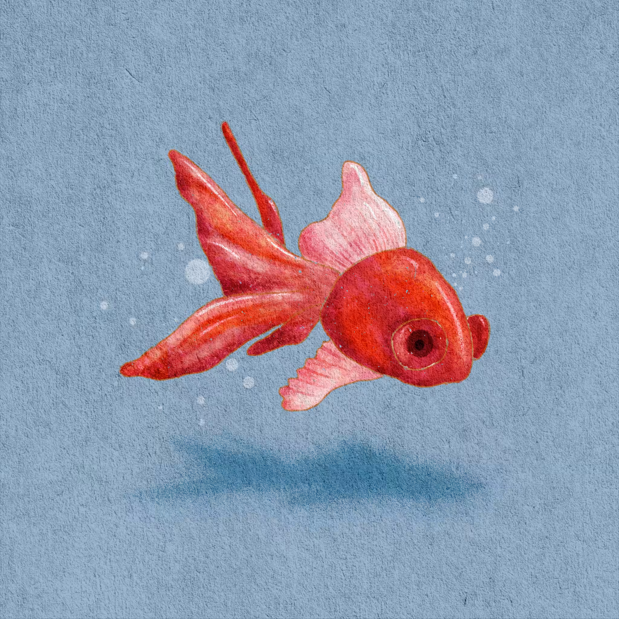 🐟
