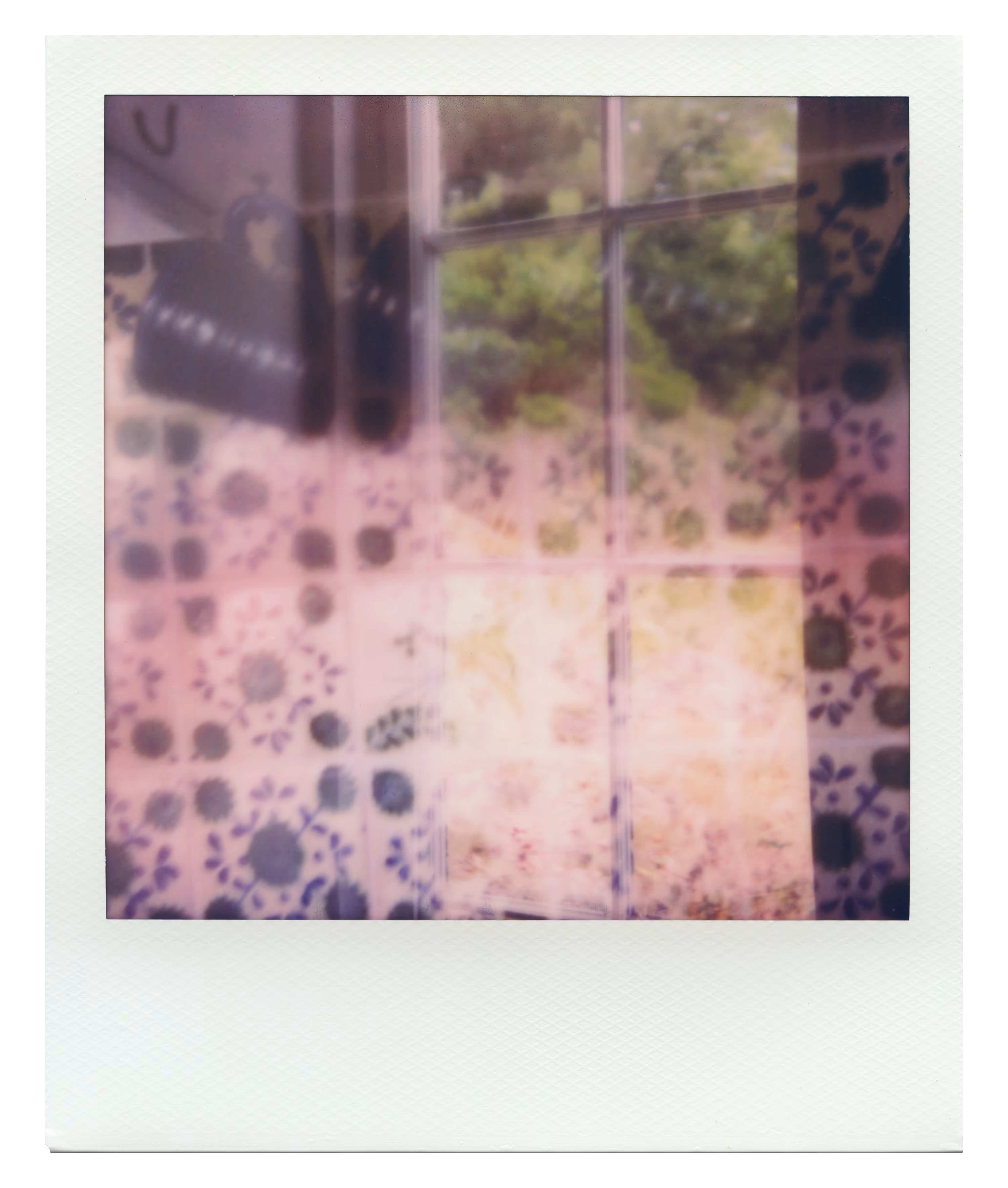 Endless Summer  |  21  | Manifestation