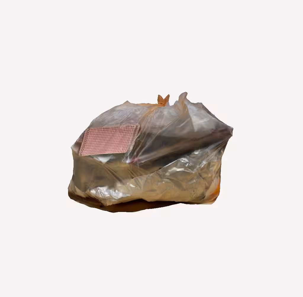 metabolism August 5, 2023 09:41 