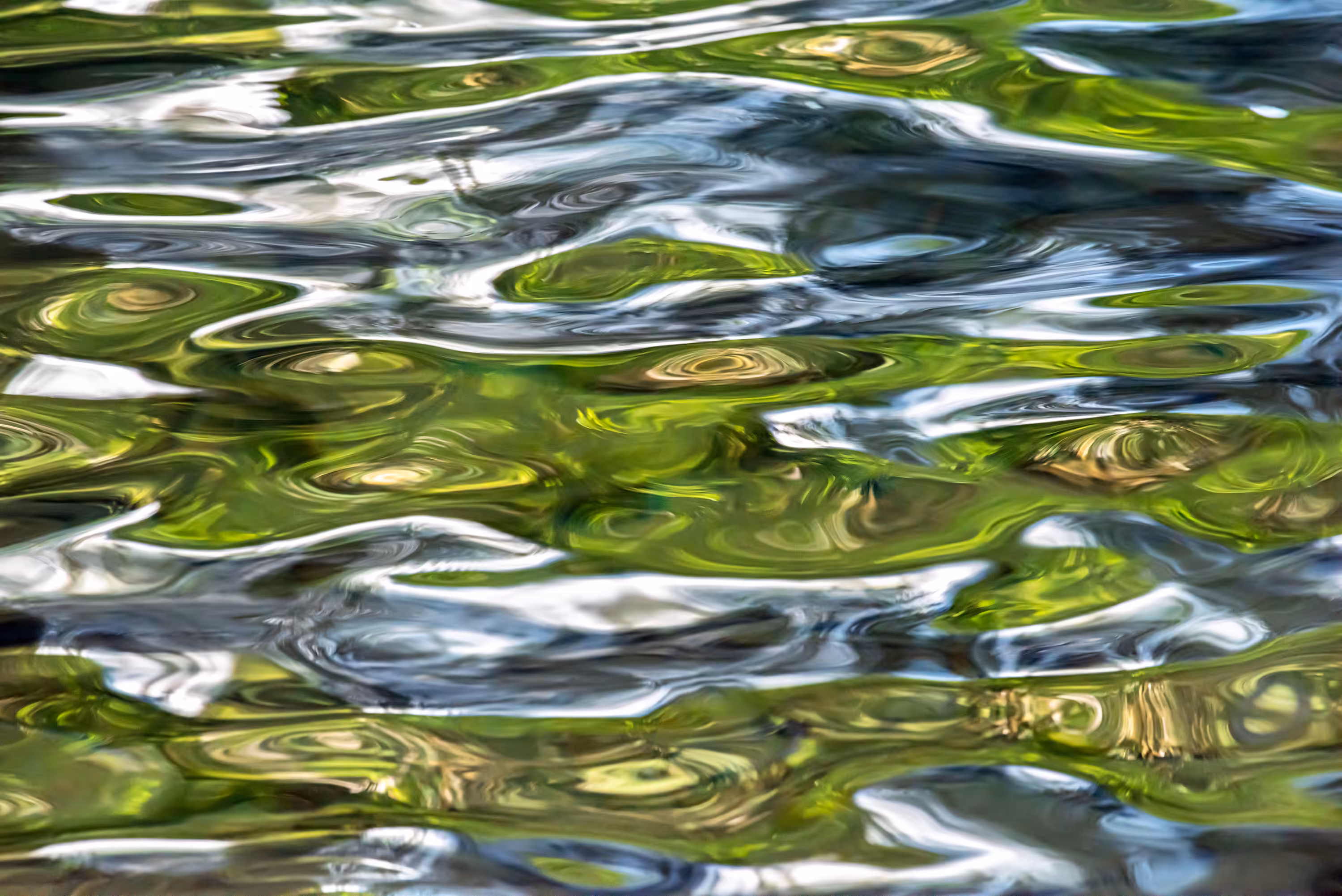 Ebb and Flow #98
