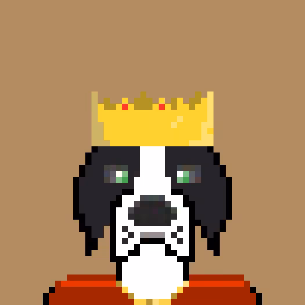 dogzz #3