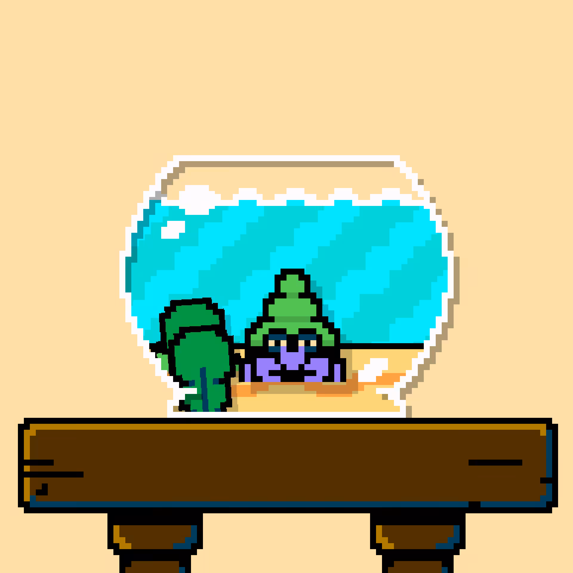 hermit crab #119
