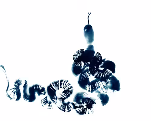 RISE ABOVE: All Souls