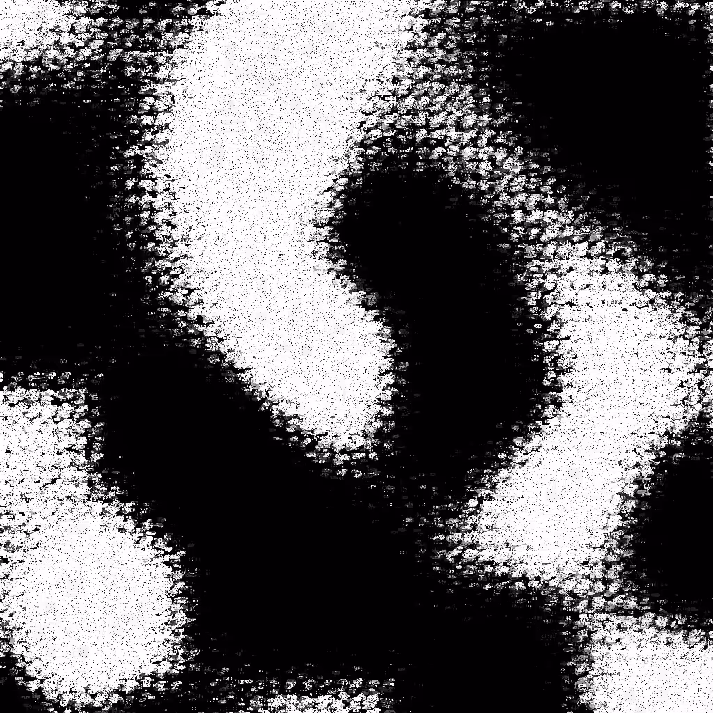 Noise #750 