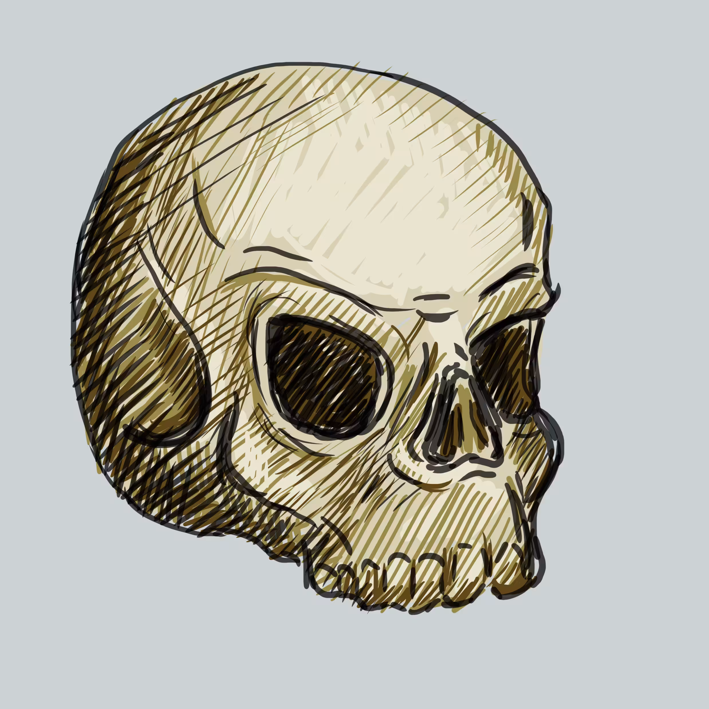 ThE SkuLL