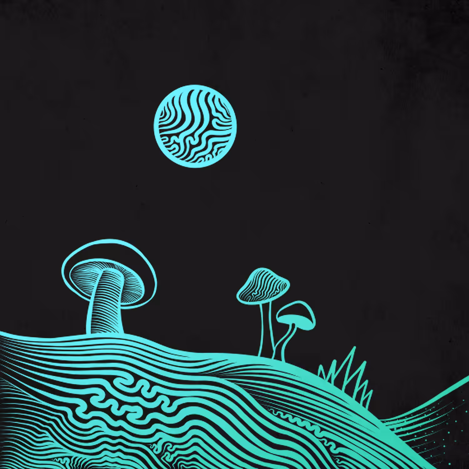 Mushroom Magic