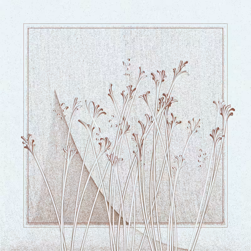 string_pllu #50