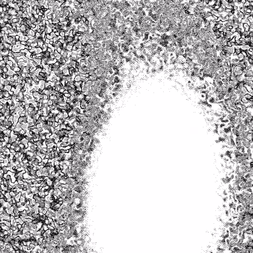 HIDDEN IN NOISE: Noise #326 