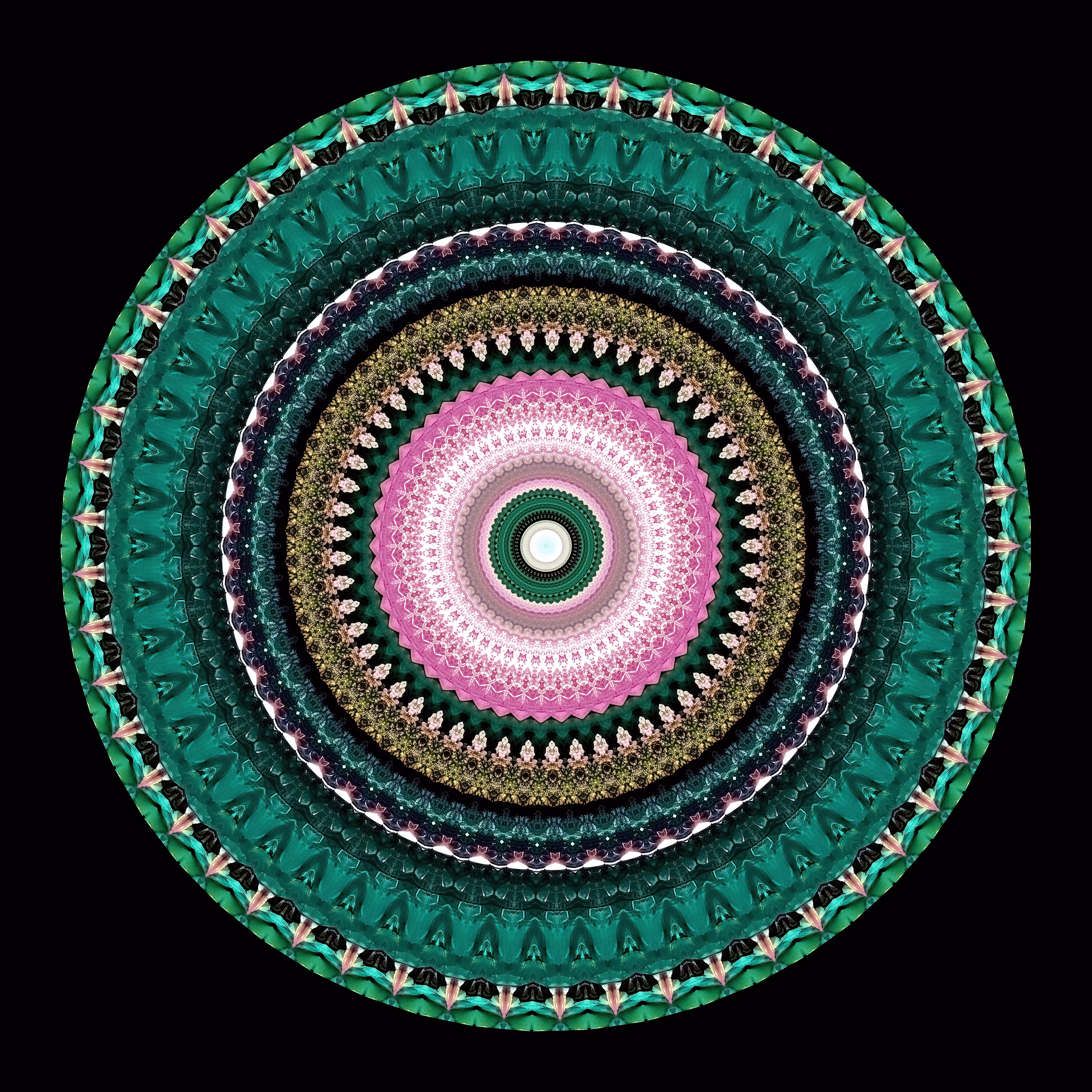 Form Constant 005