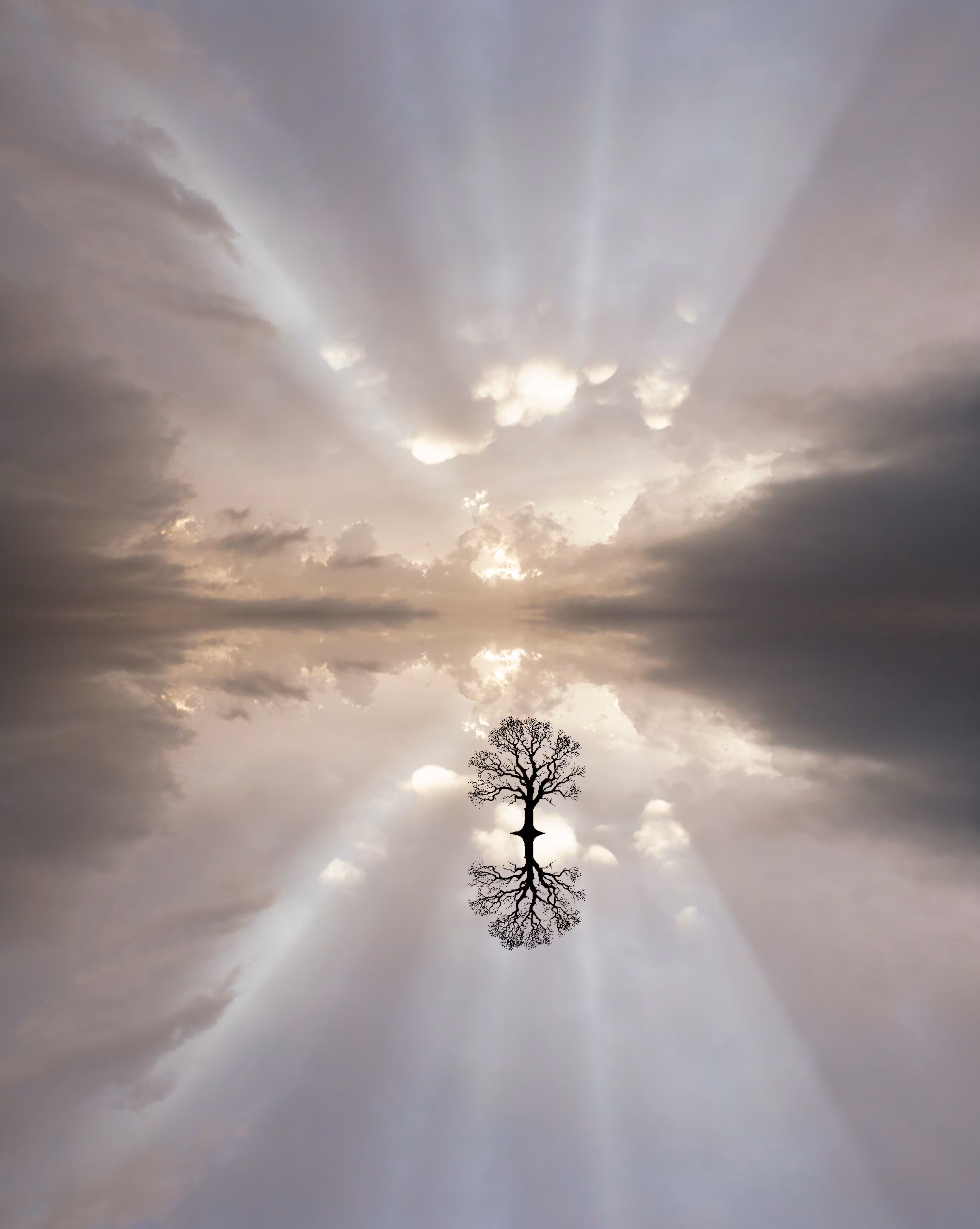 mirrored 15