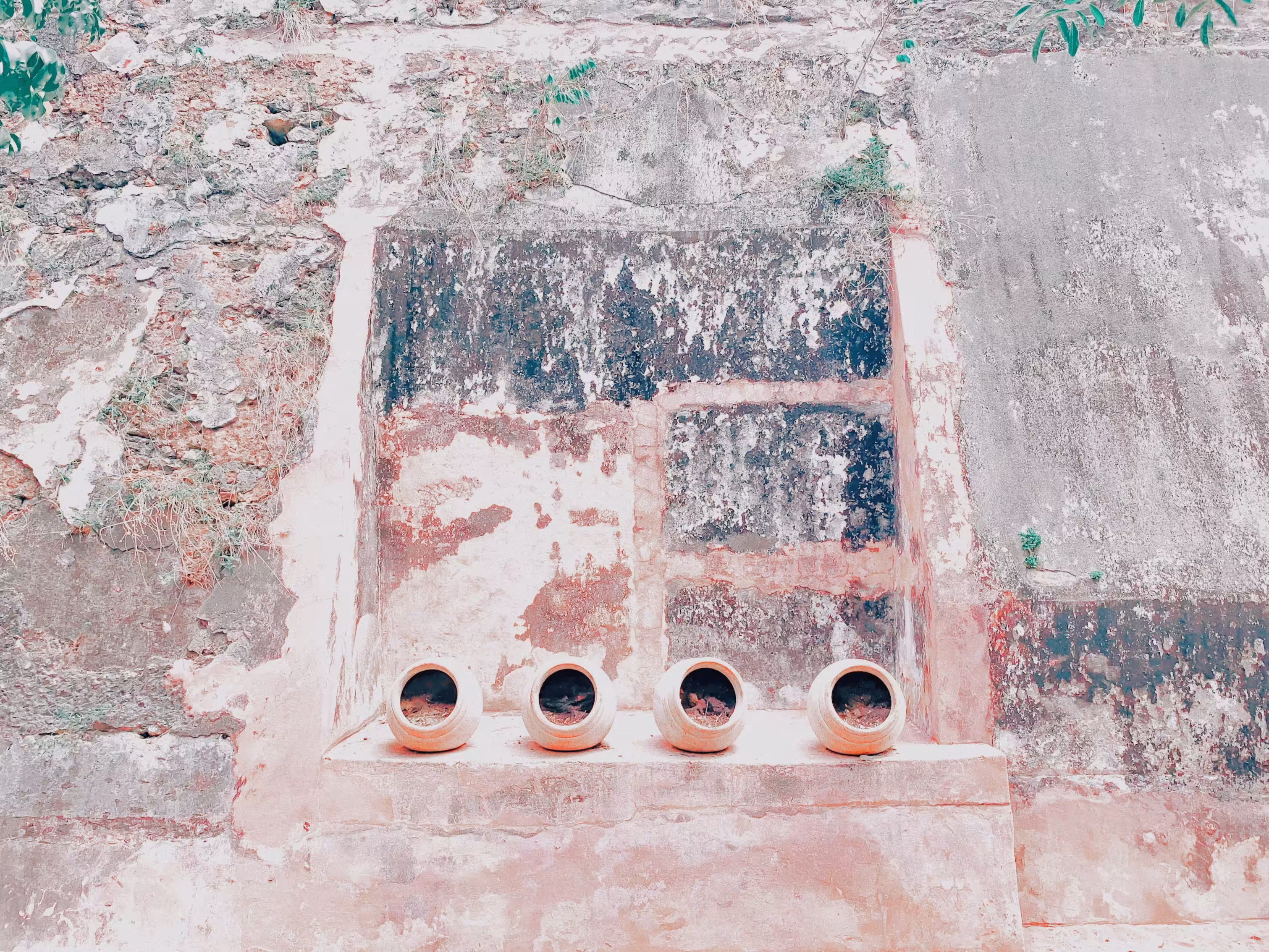 yrdgz_encantada/2019/2