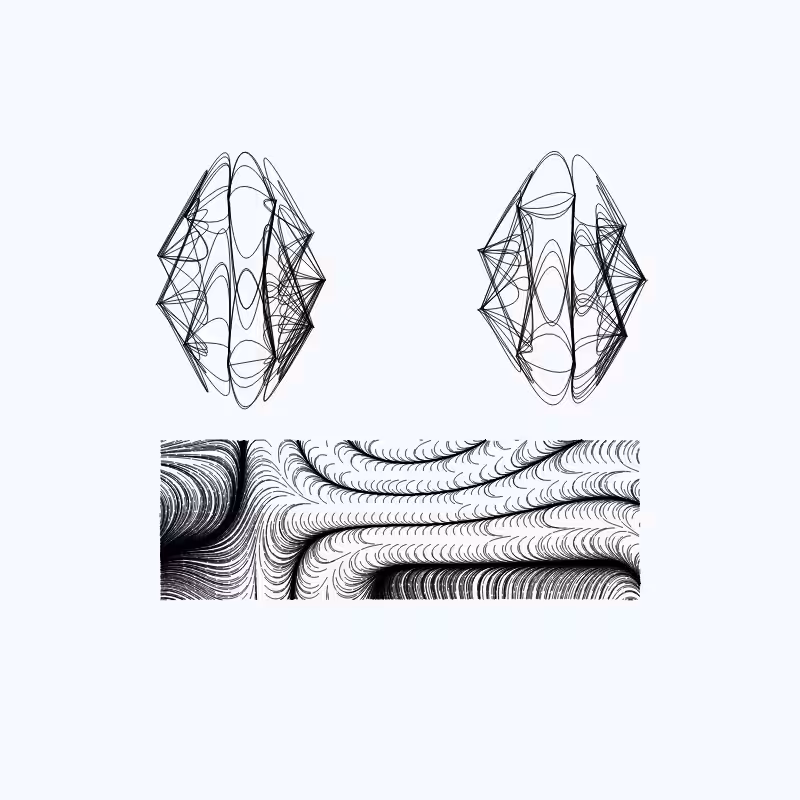 Phaces #52