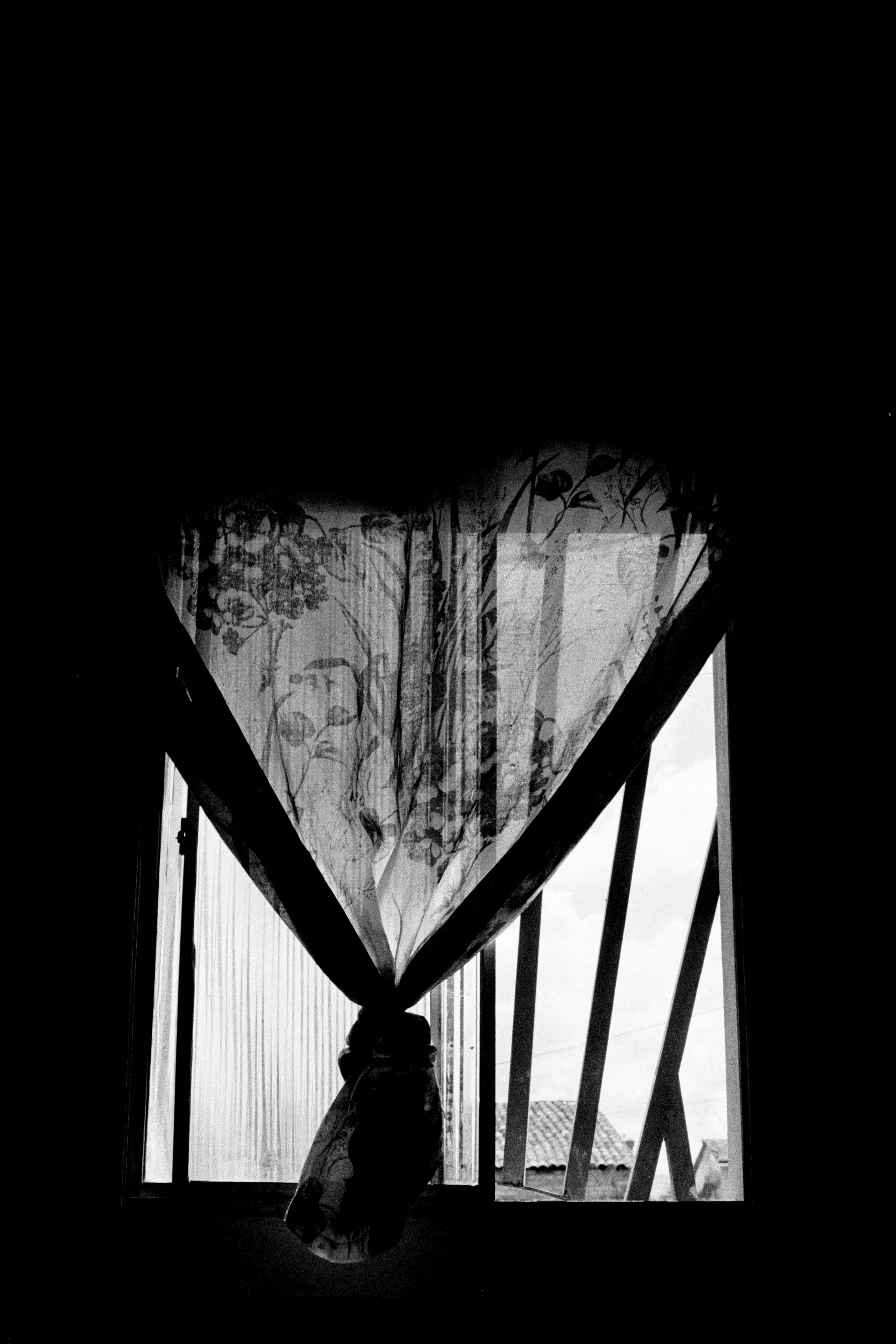 Window