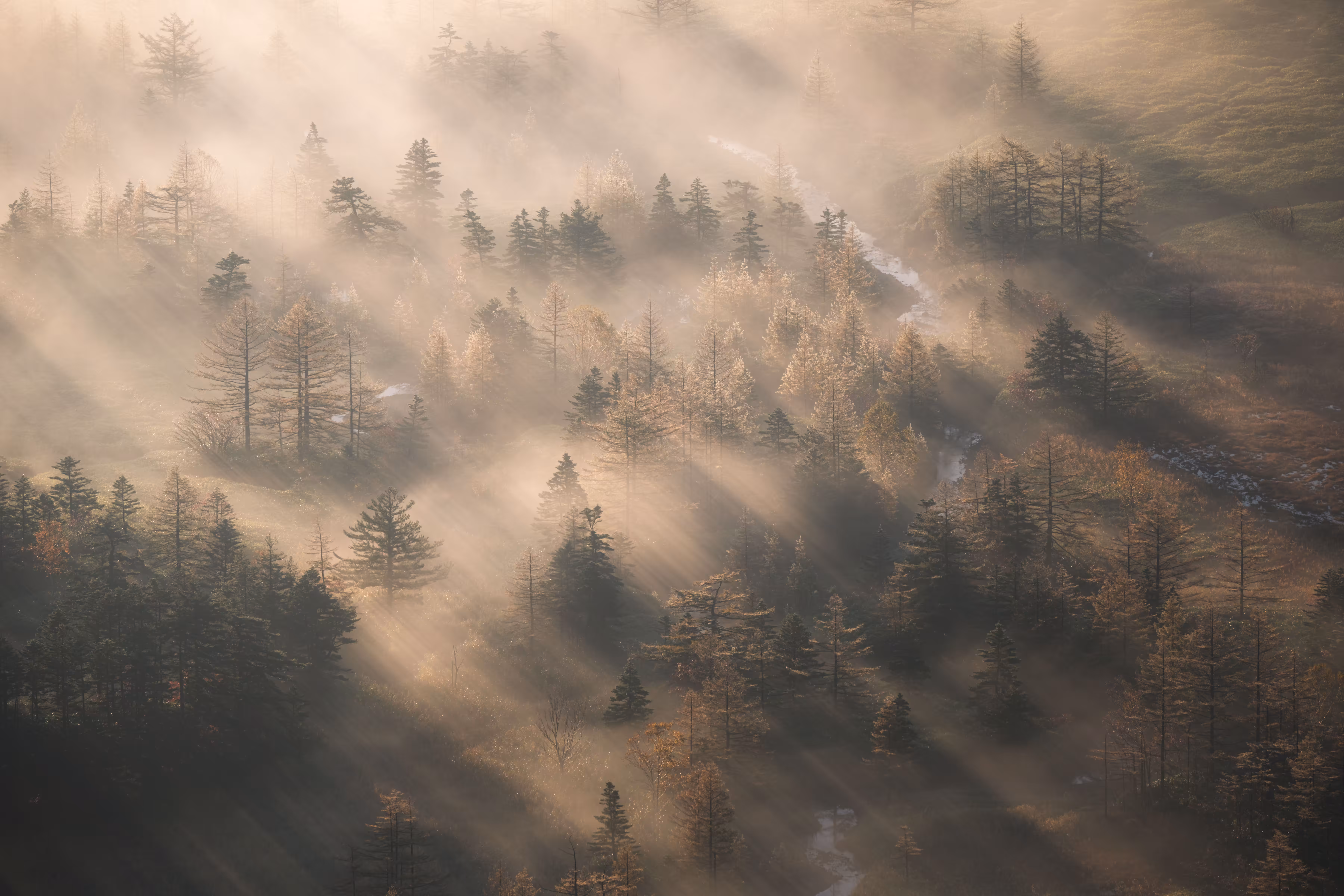 Secret Land