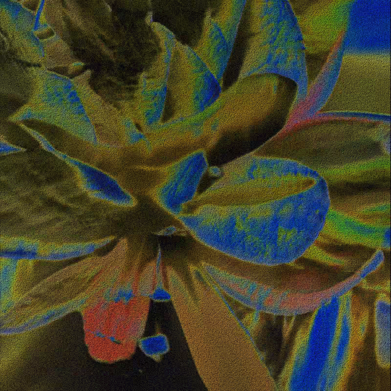 CLDCSMC #127