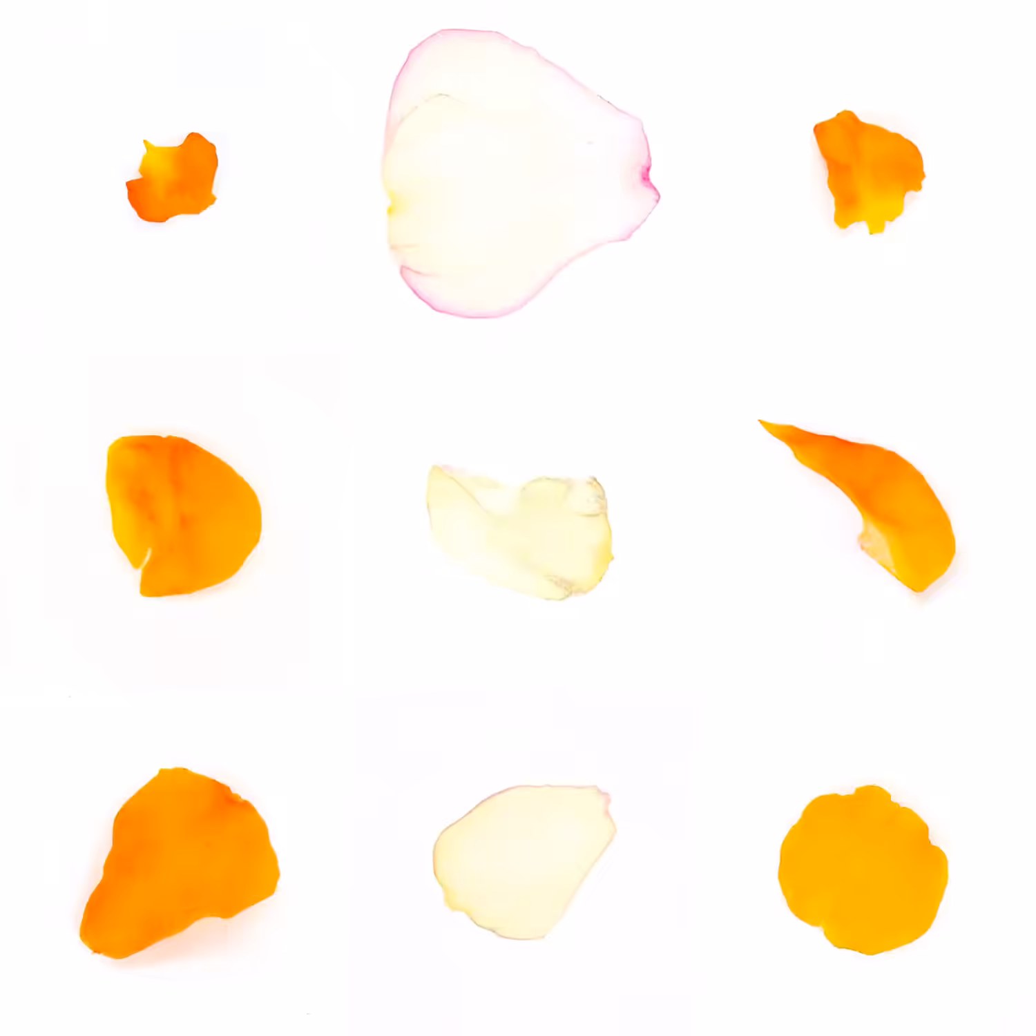 Infinite Petals 3x3#3767