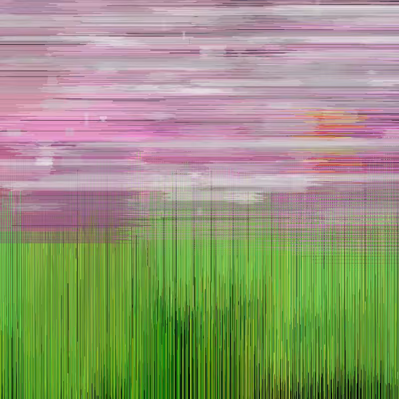 Hatch Field 003 #255