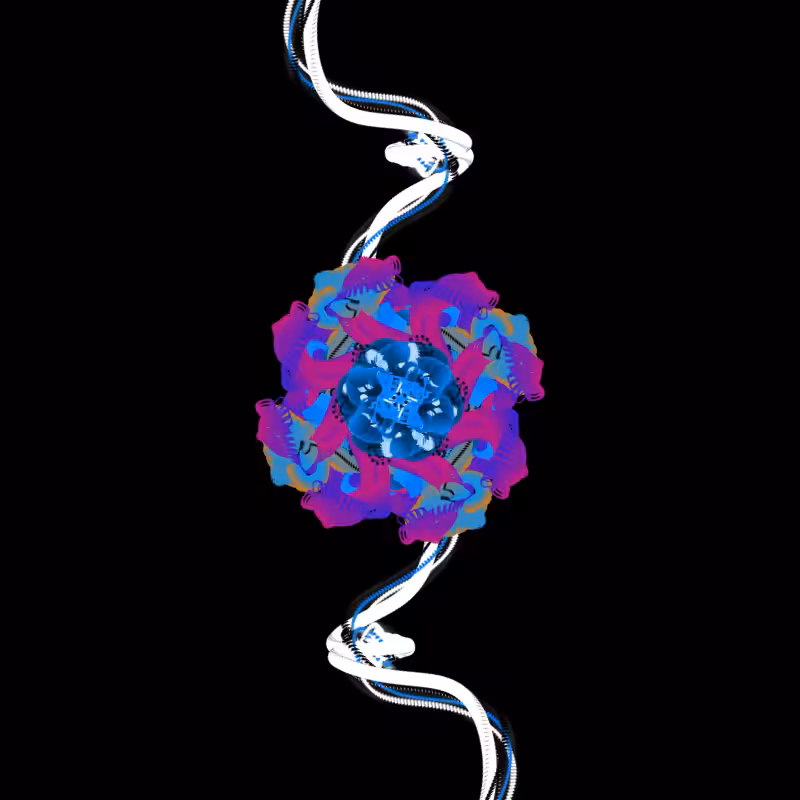 char-mandala #1