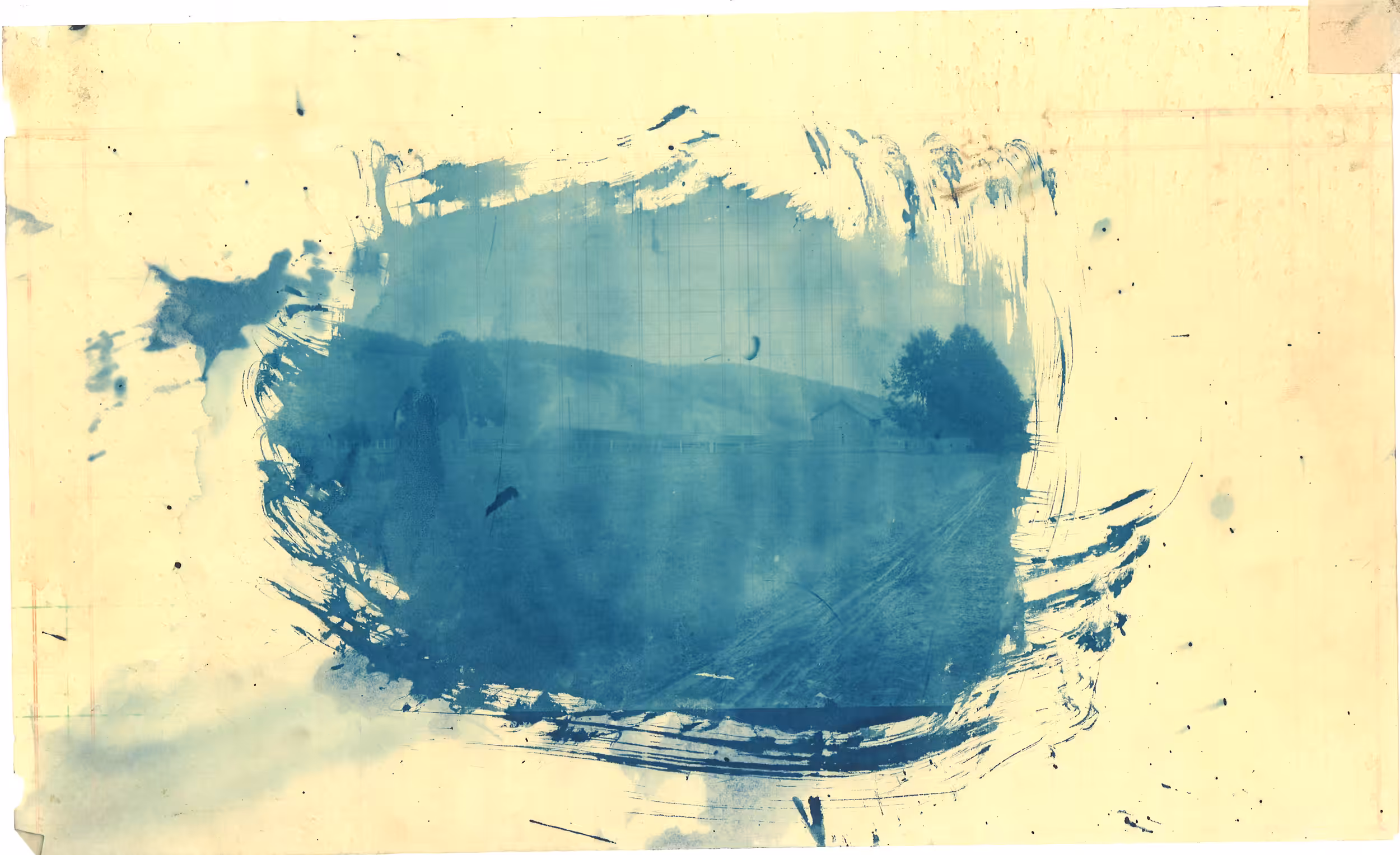 Cyanotype #6