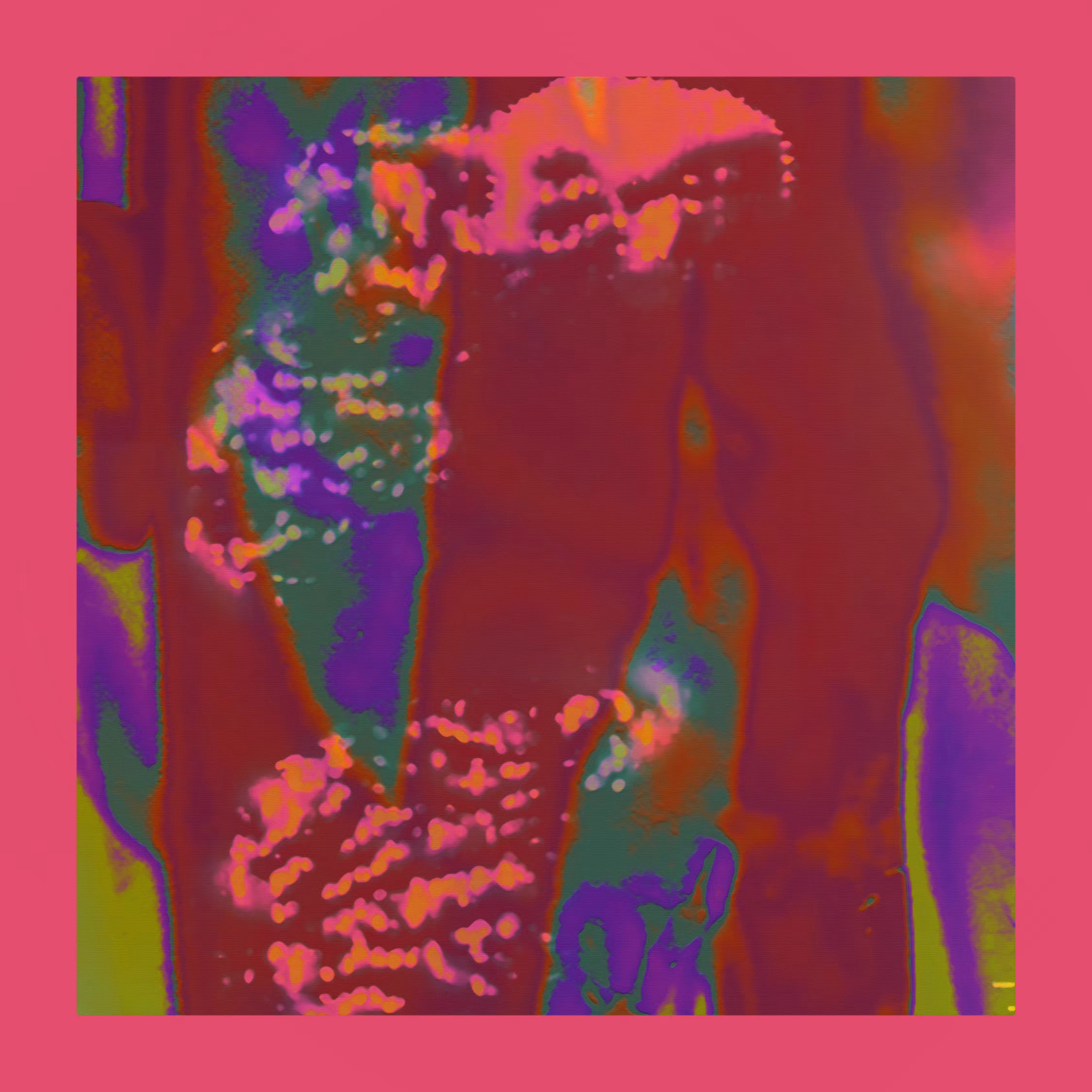 Wildflowers LXXXIV