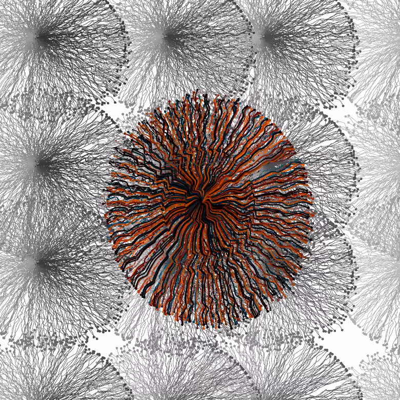 CircuWeb #18