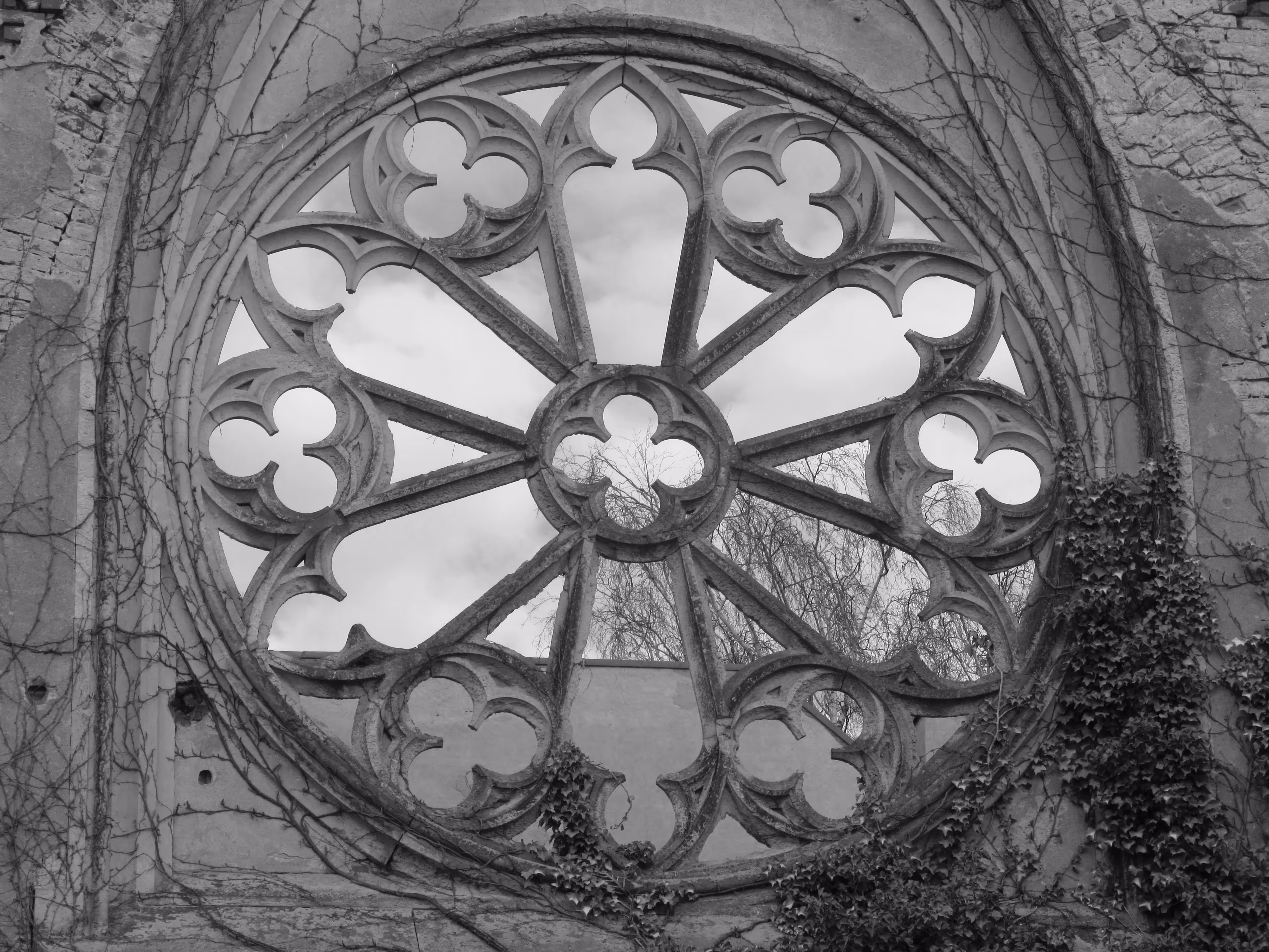 "Window to Heaven"