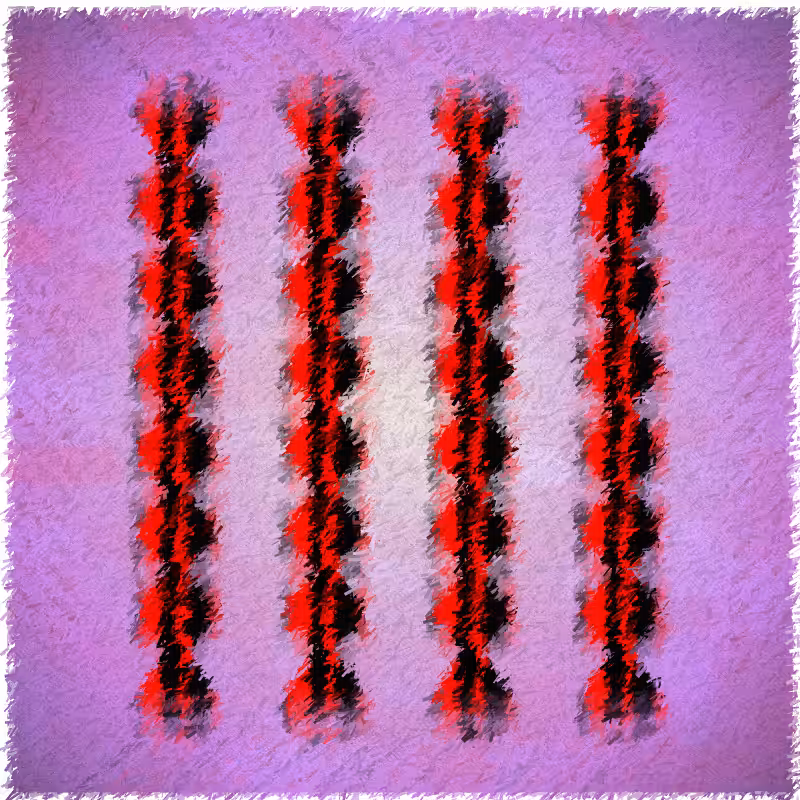 Maculas #42