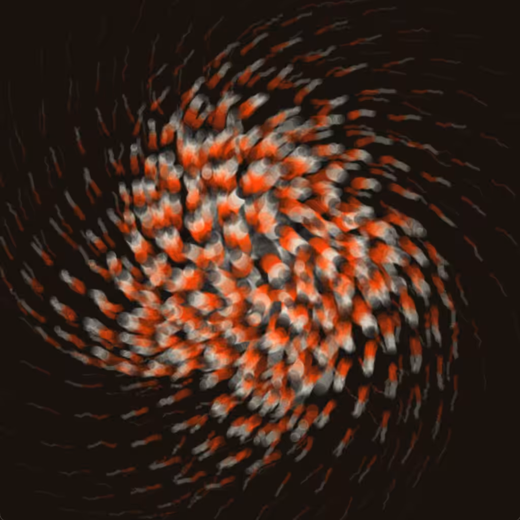 Anemone