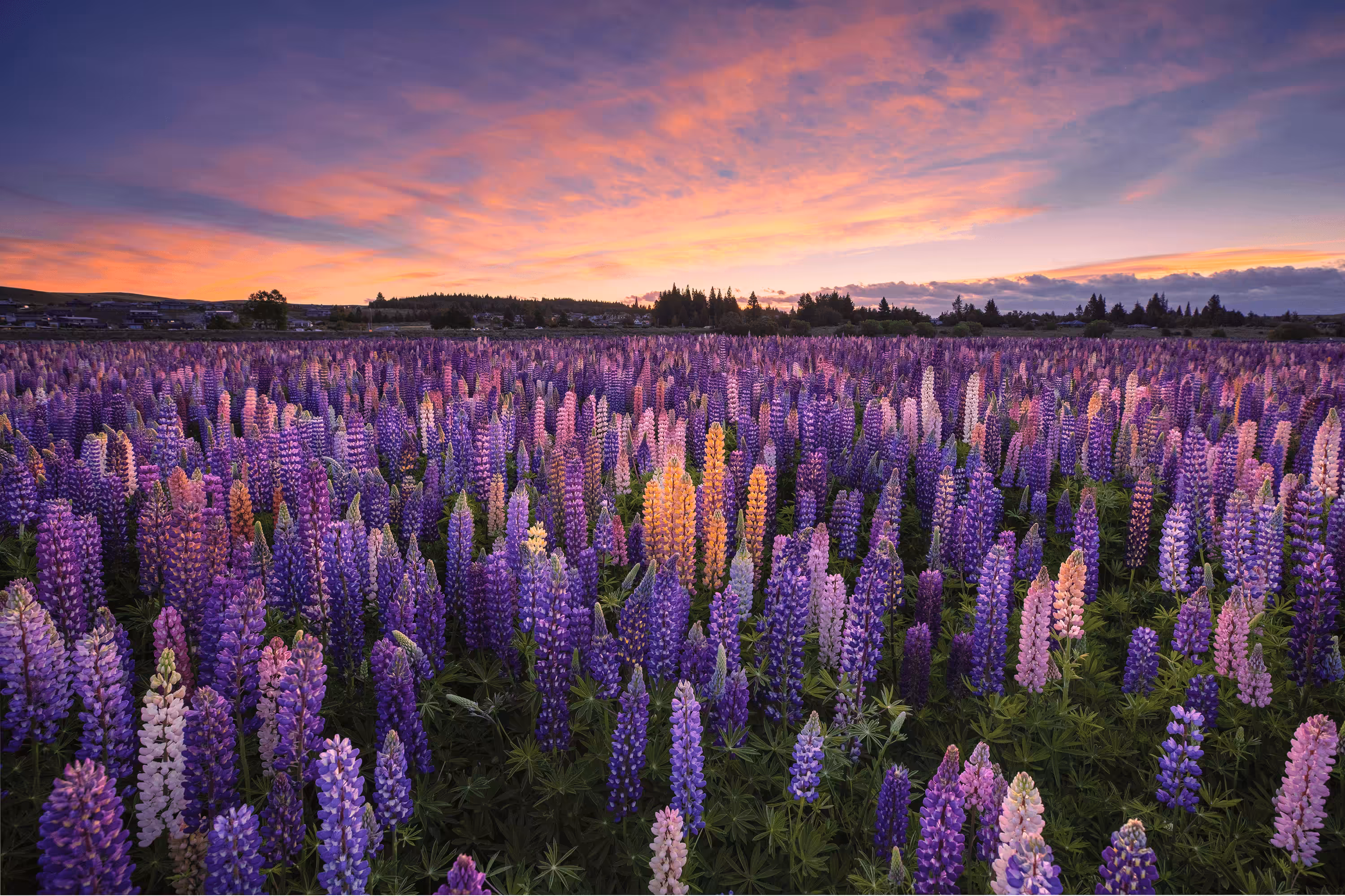 Aotearoa Dreaming - New Zealand Skies #3