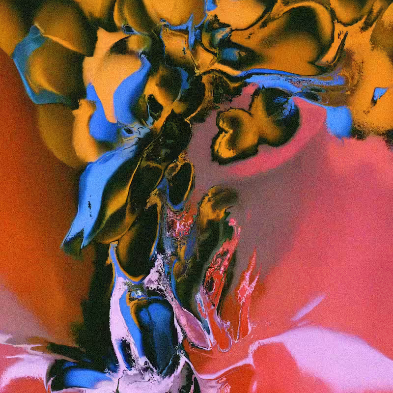 Where Nothing Settles: Petals Without Skin