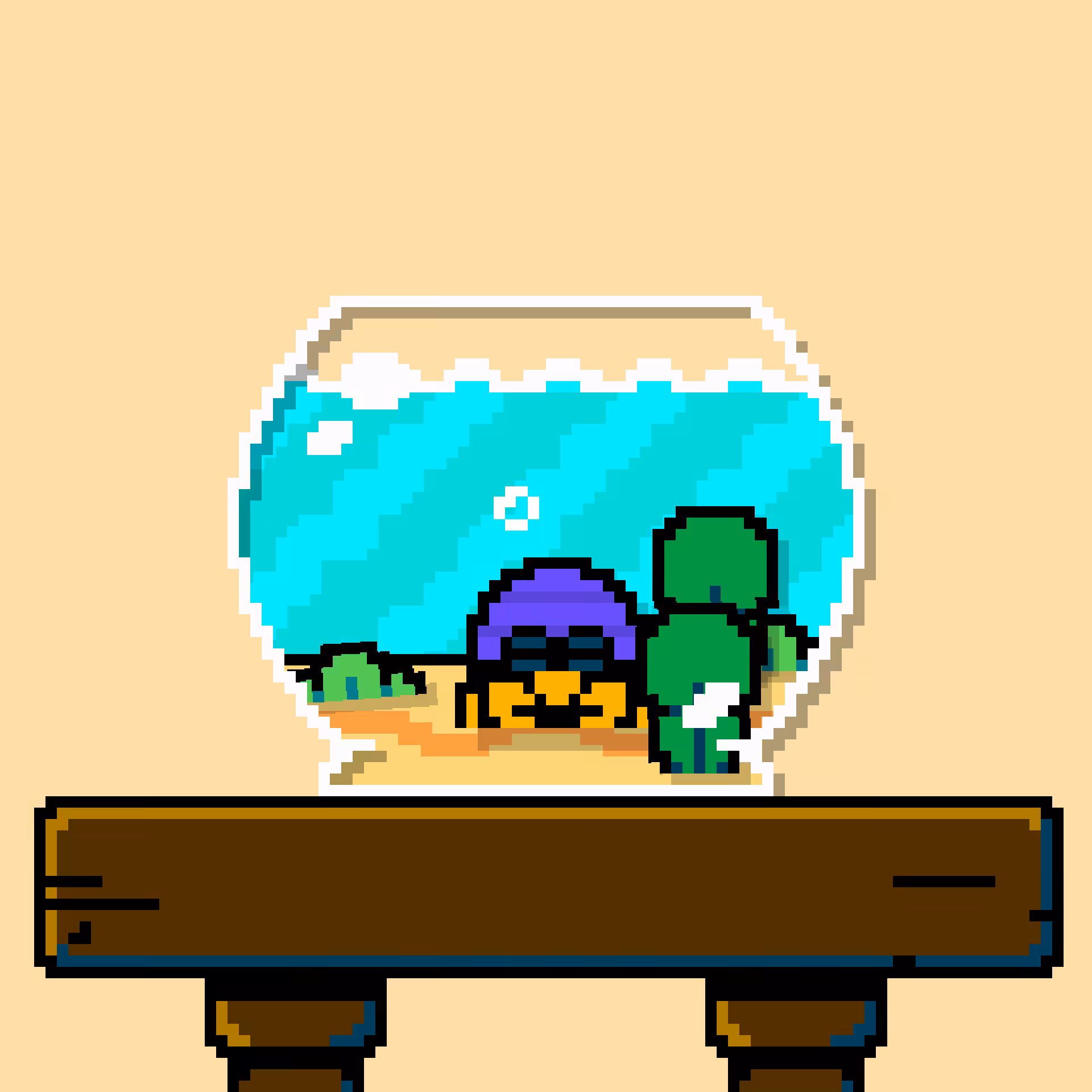 hermit crab #80