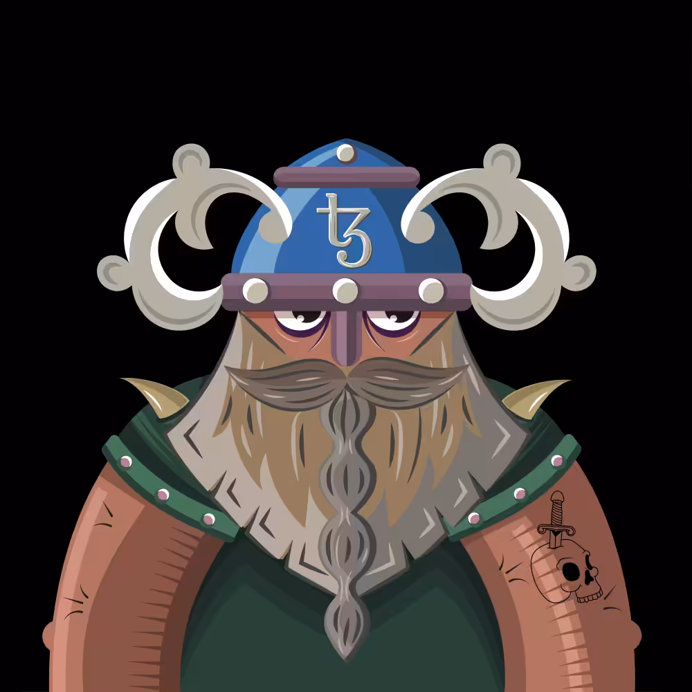 TEZ VIKINGS 19