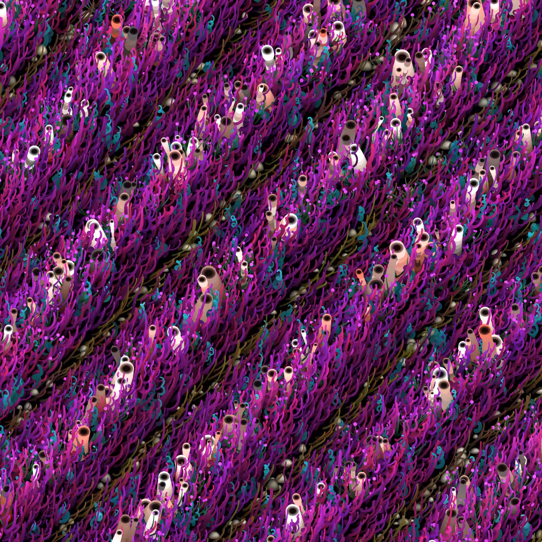 Noisy Gardens #44