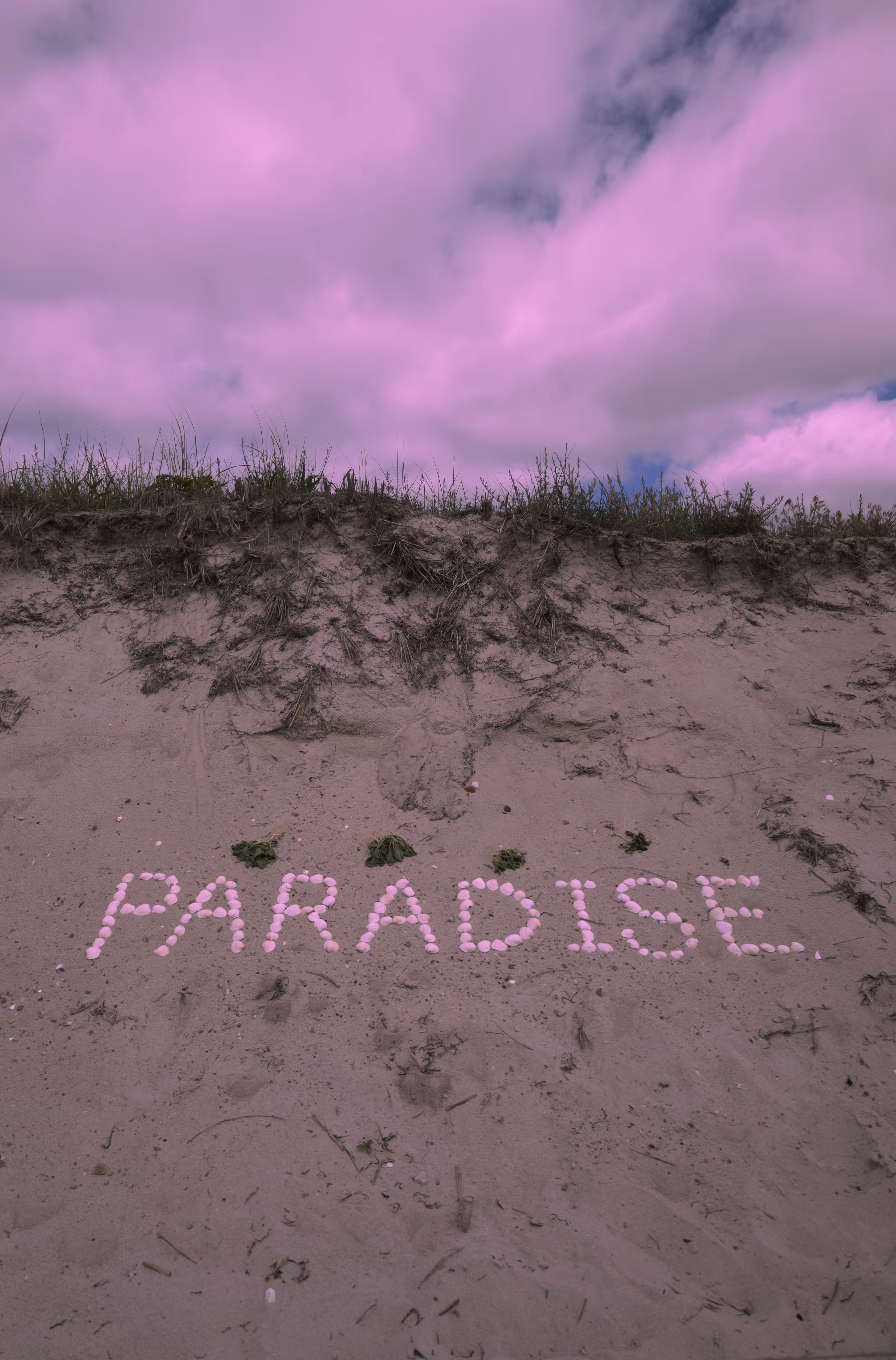 paradise
