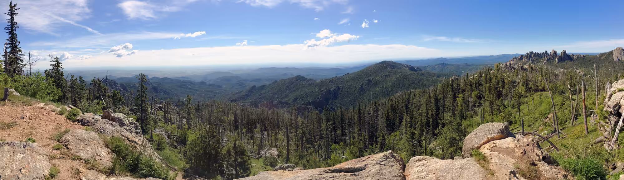 Black Elk Peak
