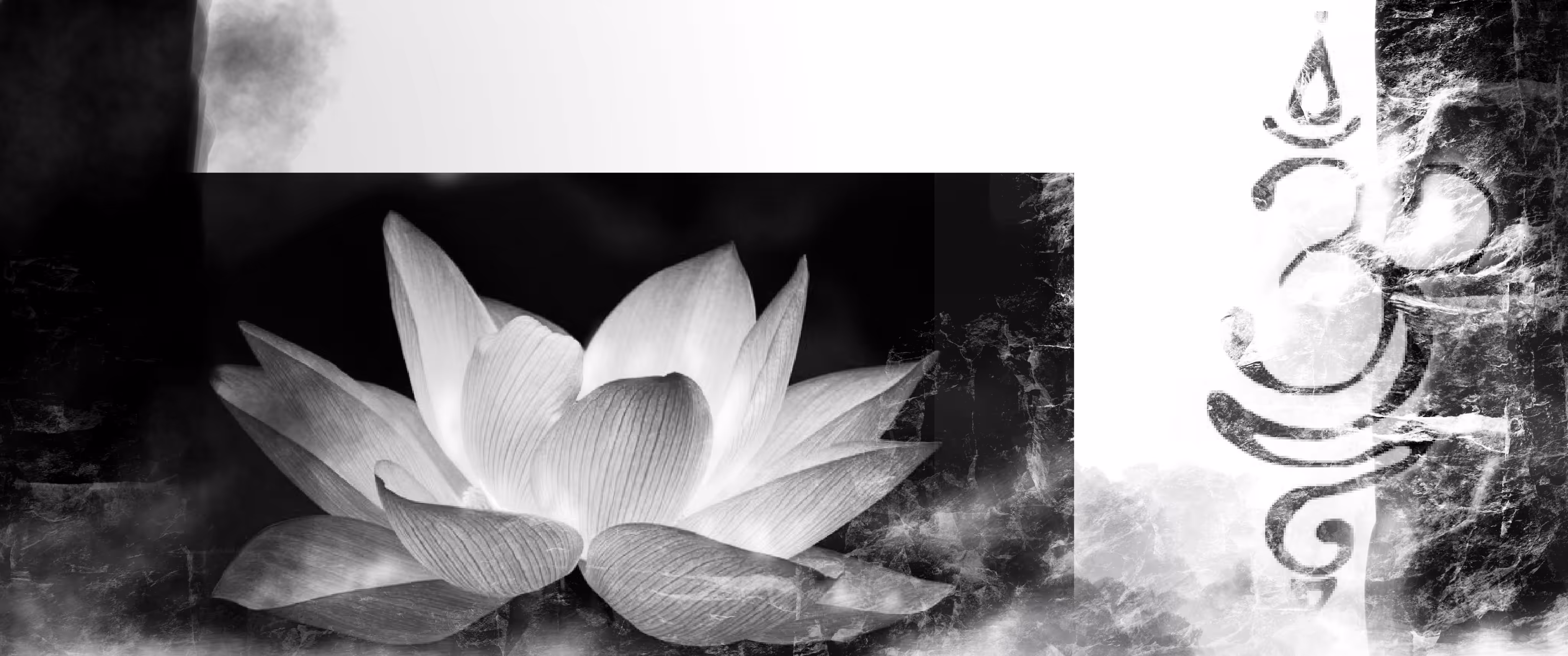White Lotus