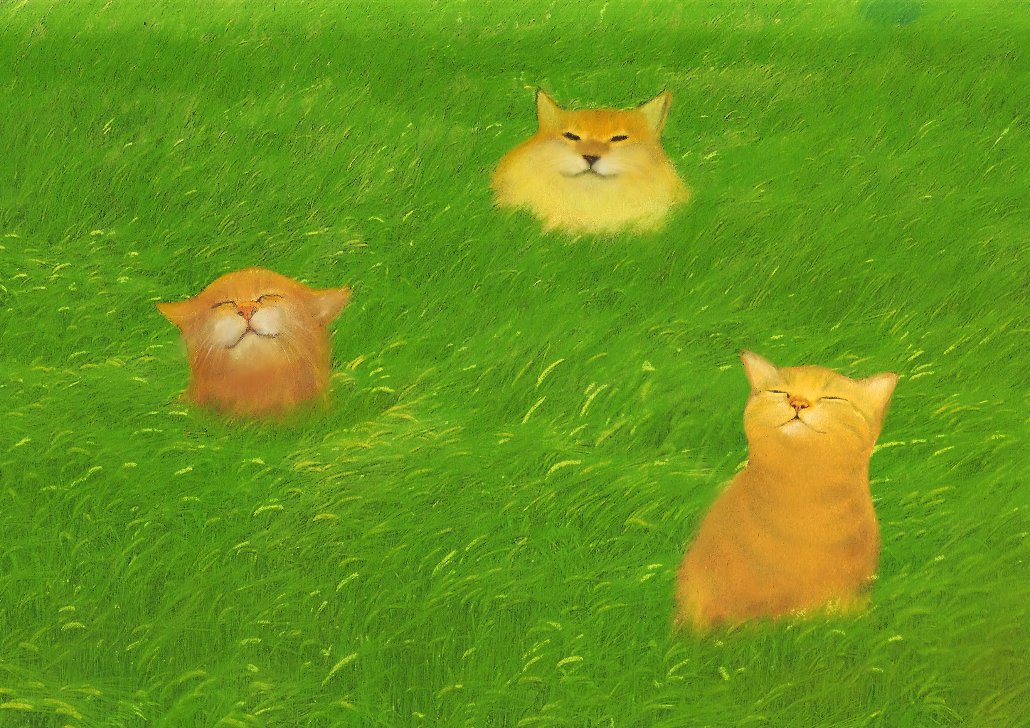 Warm wind