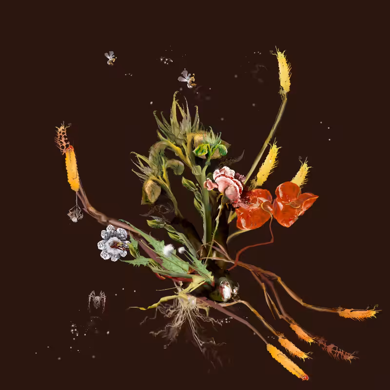 Generative Still Life: Still Life 17.0 #68
