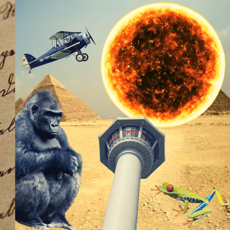 Banana & Pepe on mysterious trips #31