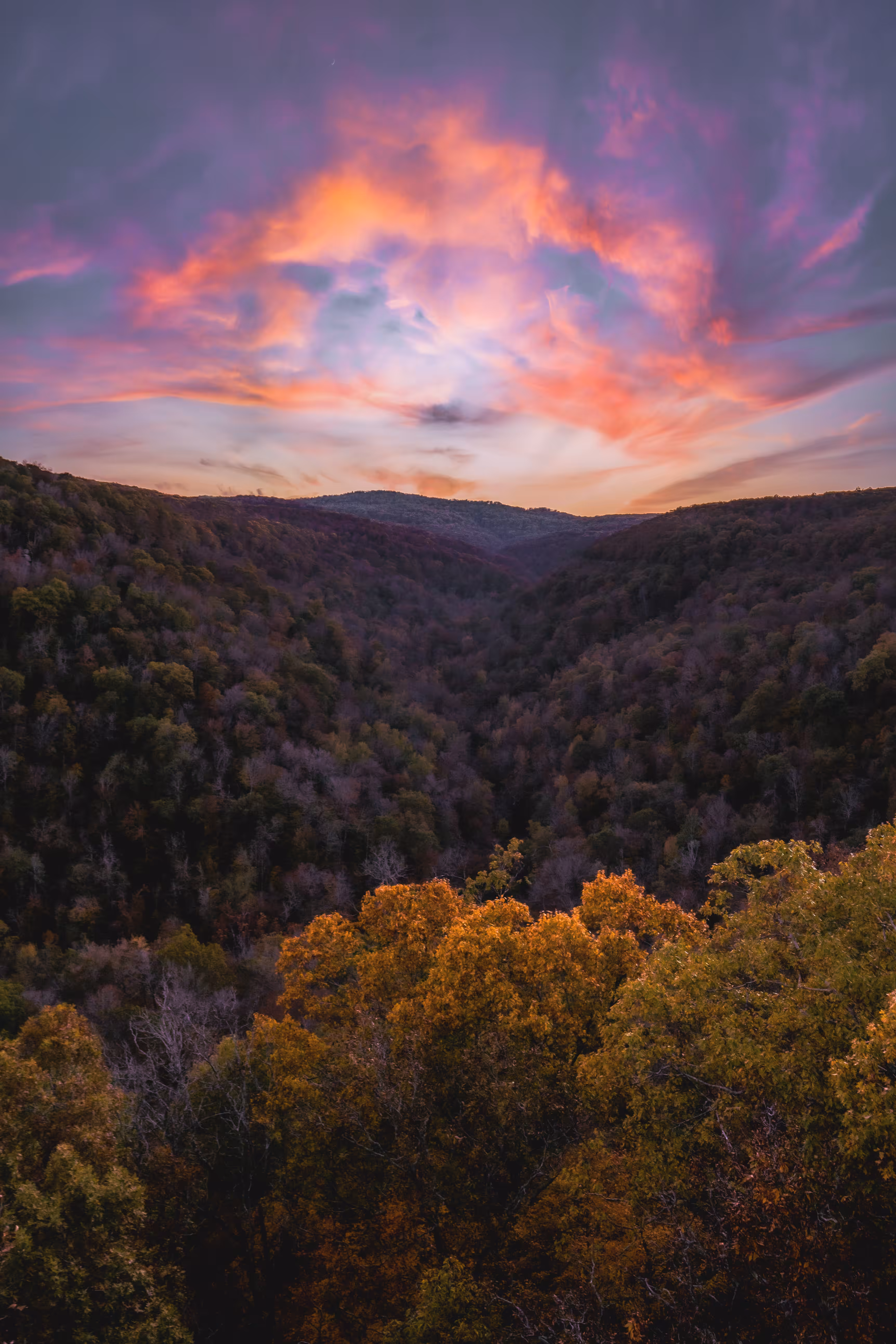 Autumn Skies 