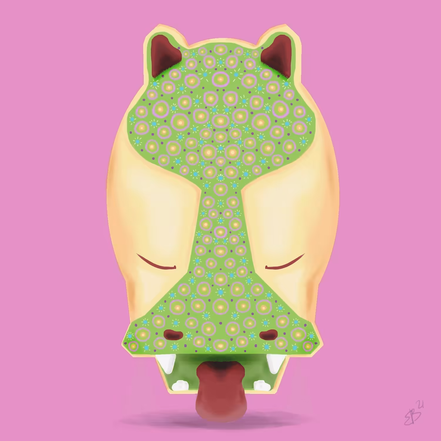 Hola Hippo