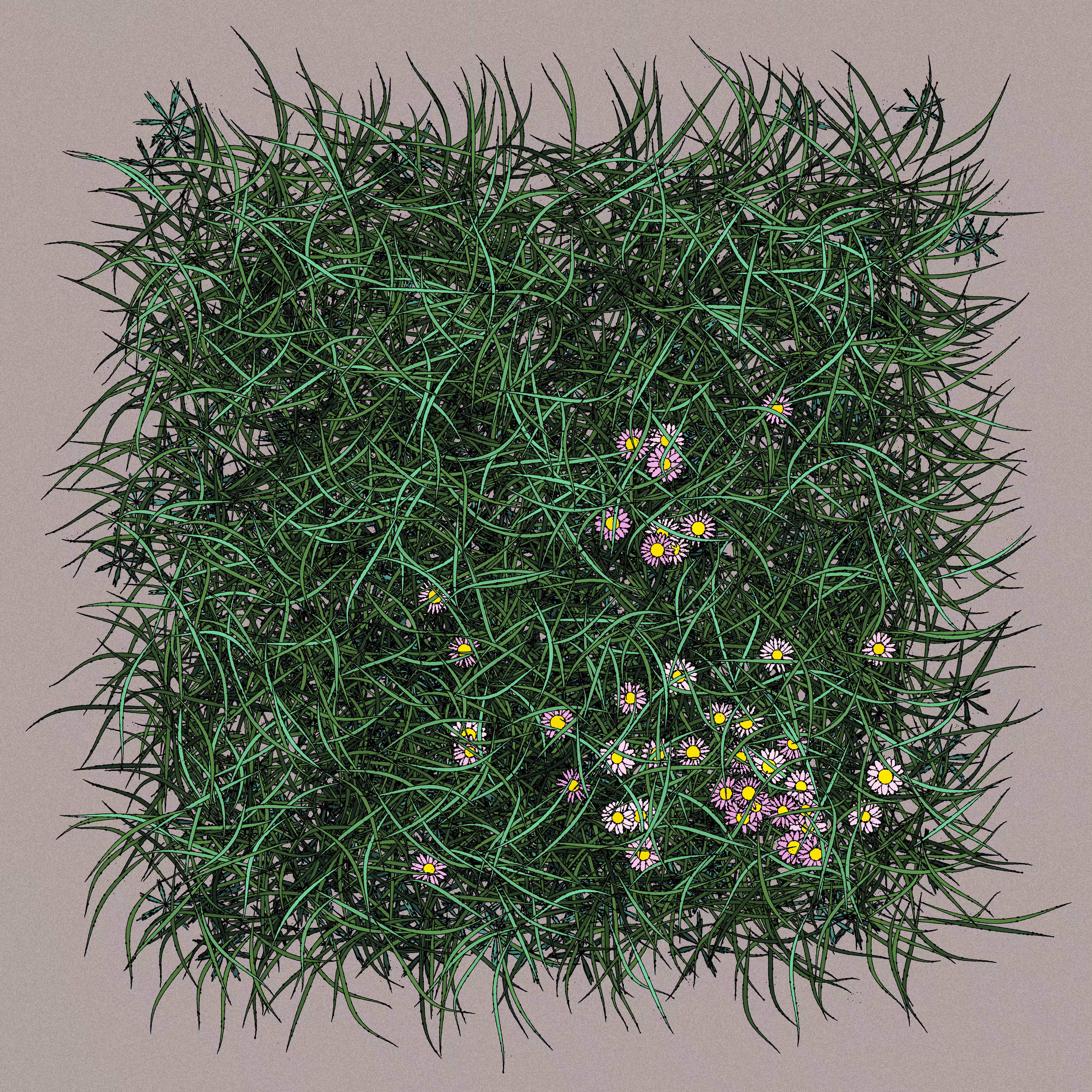 Pink Daisies #7