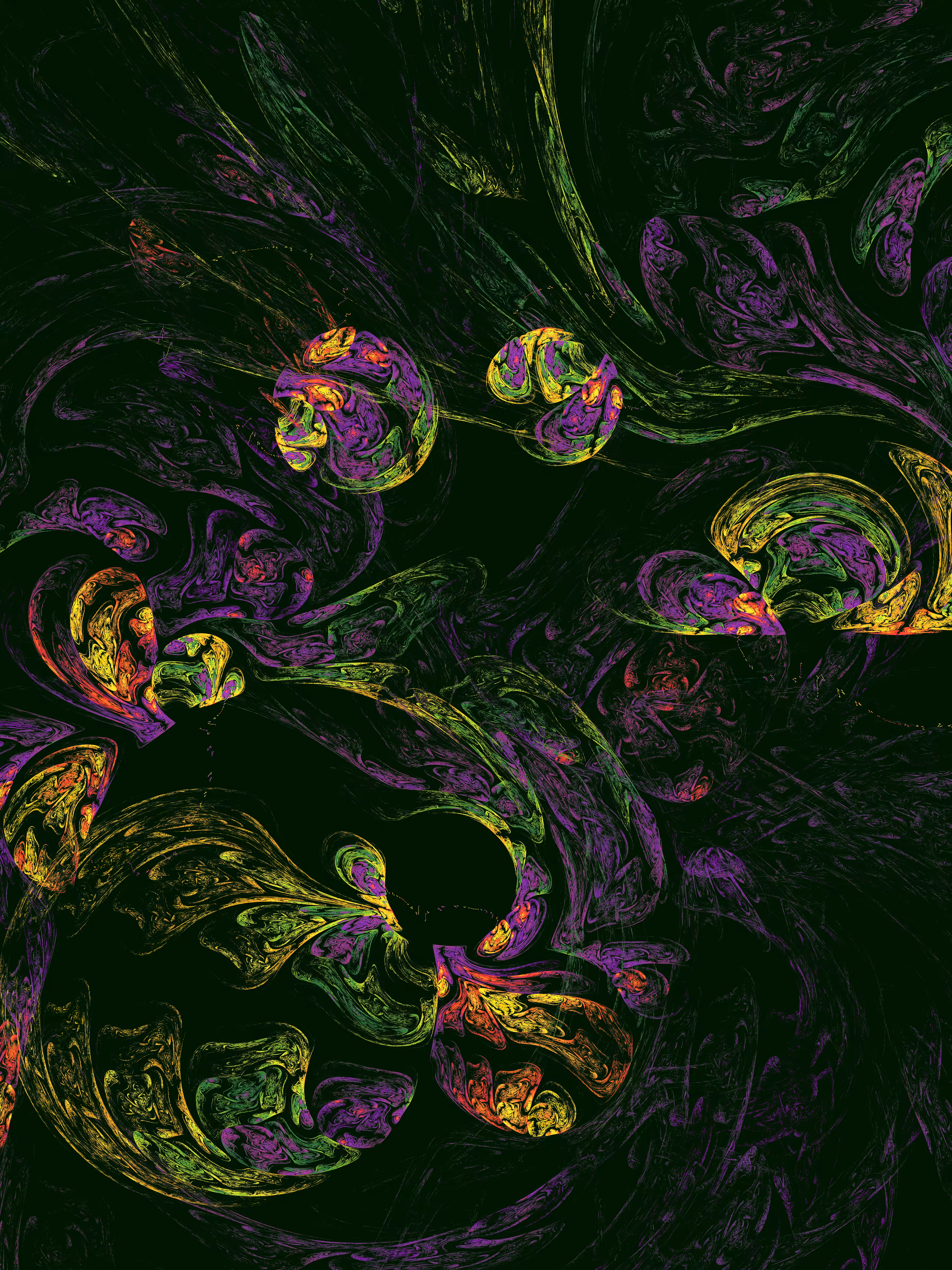 Night Bloom