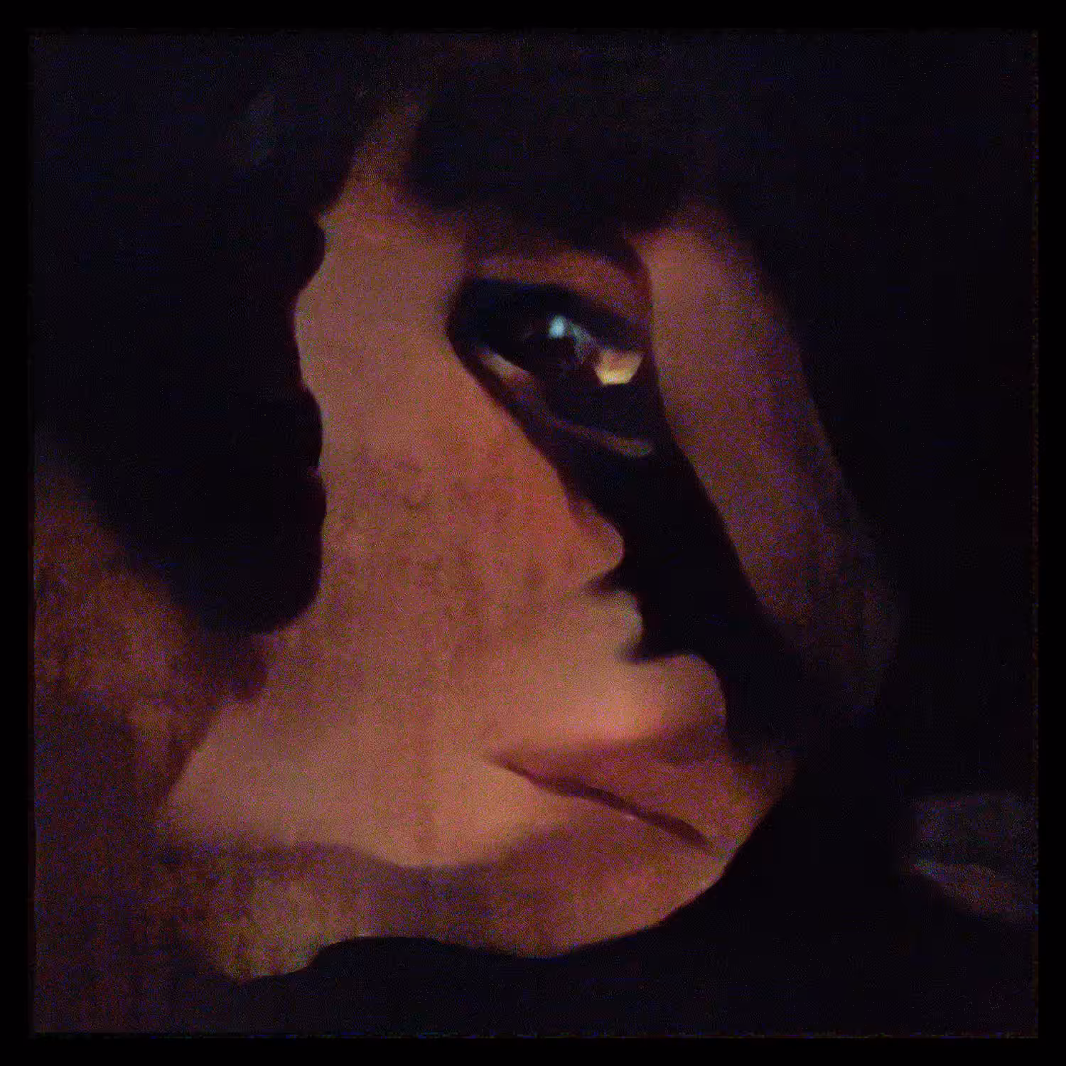 Face. A sadness.