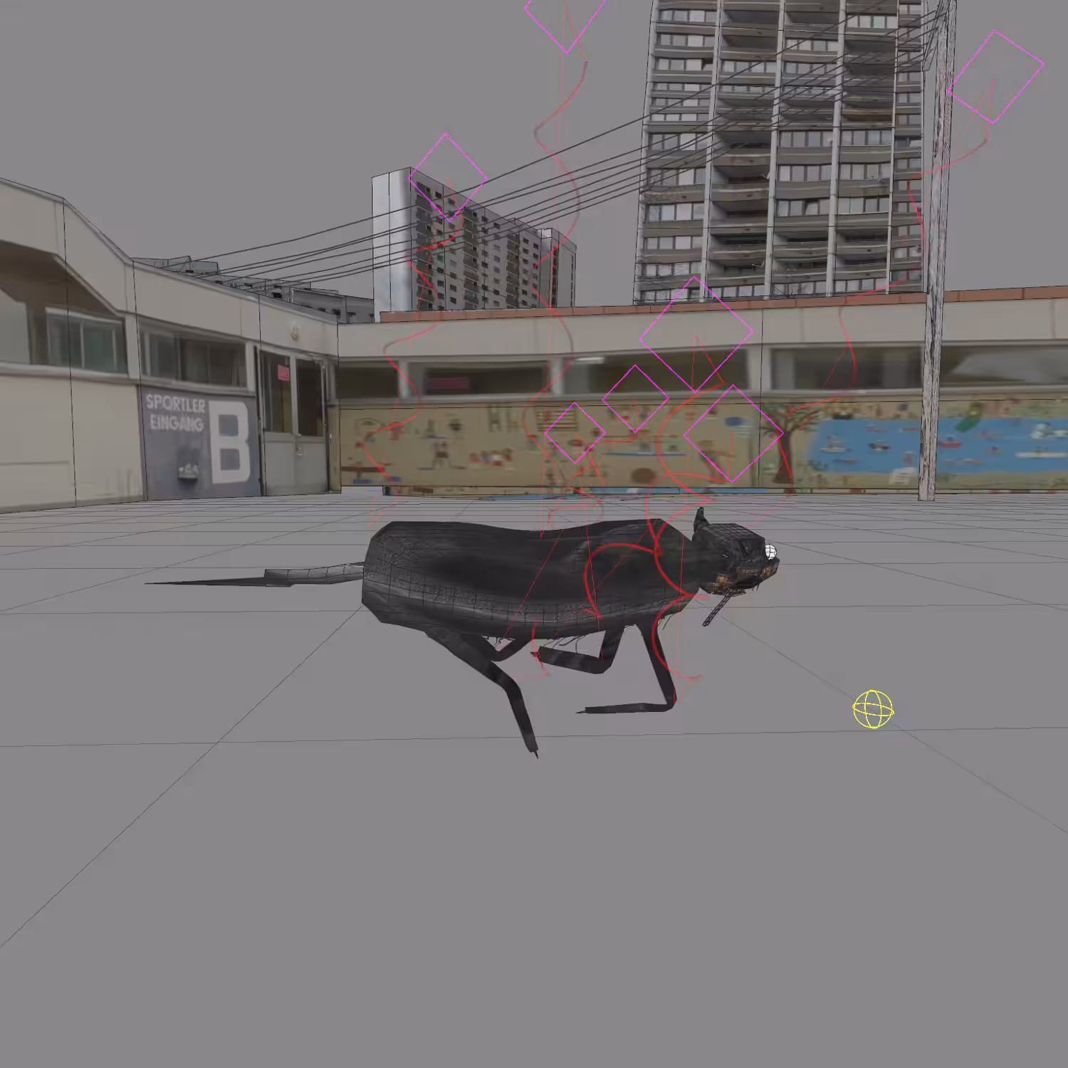 Doberman Run